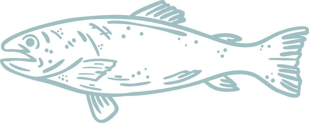 Illustration of a fish with detailed fins and scales.