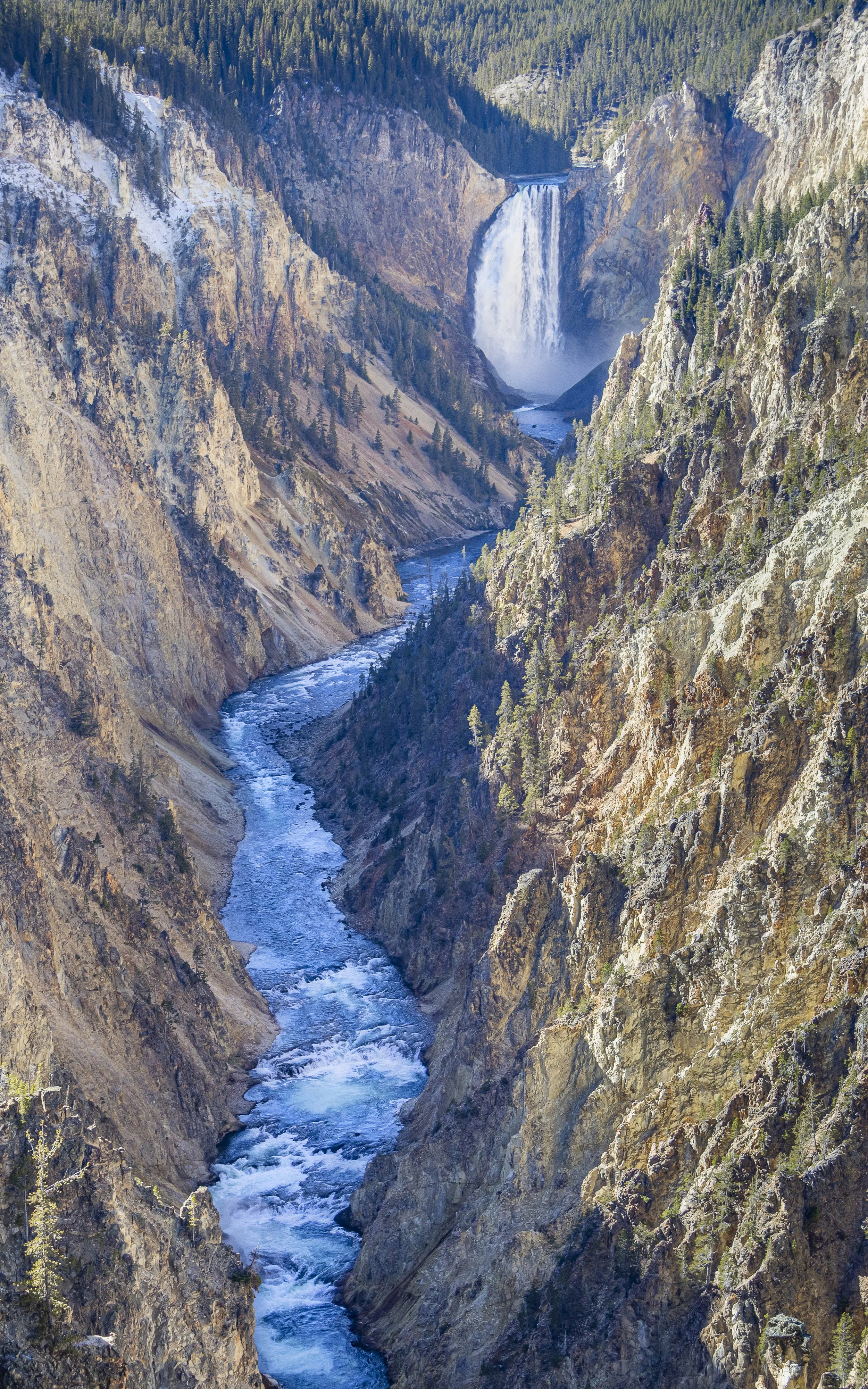 Website - Path to the Falls.jpg