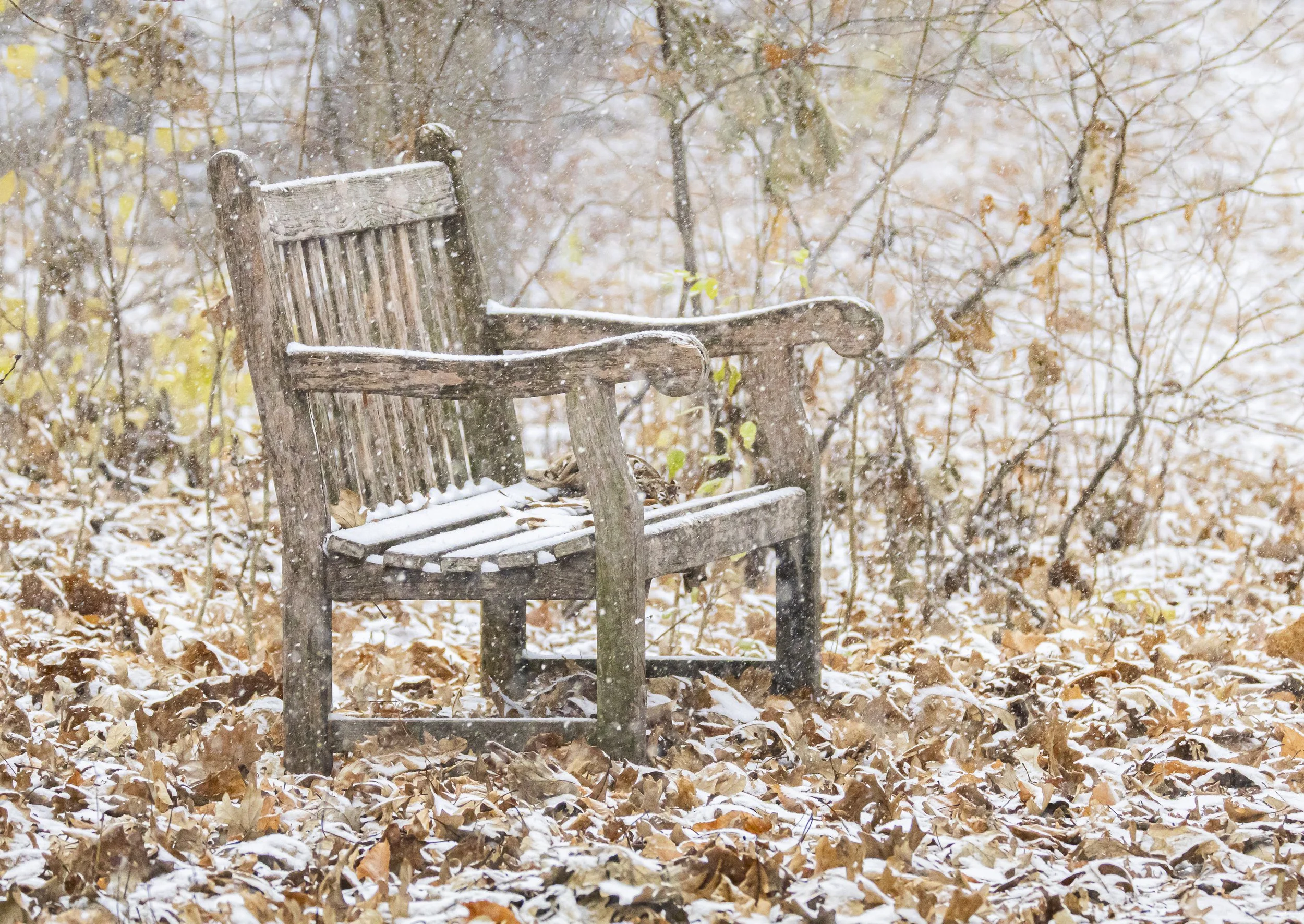 Website - Landscape - A Place of Solitude.jpg