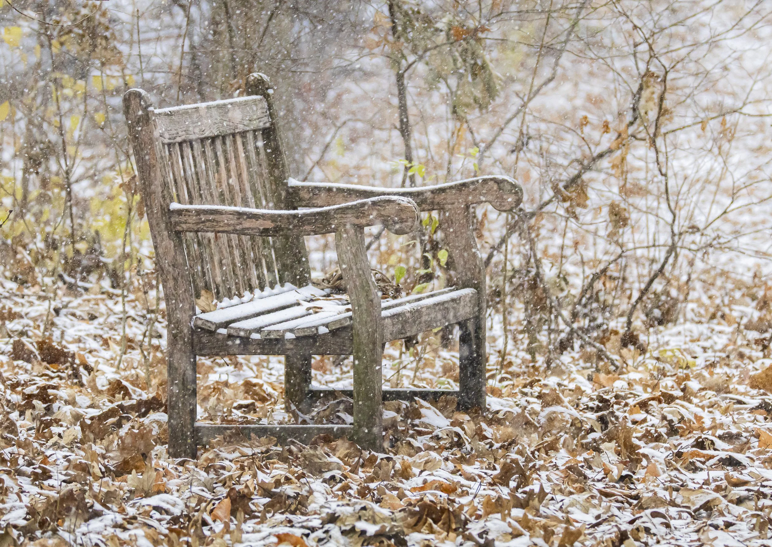 Website - Landscape - A Place of Solitude.jpg