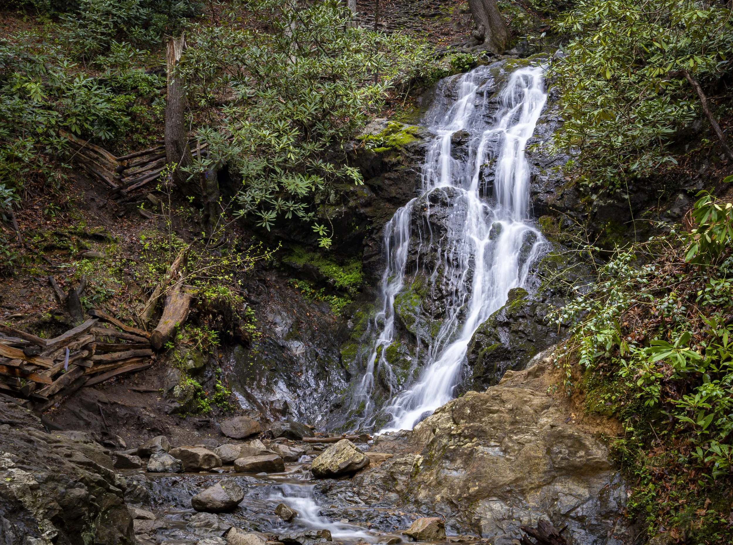 Landscape - Fall of the Smokies - Website Version.jpg