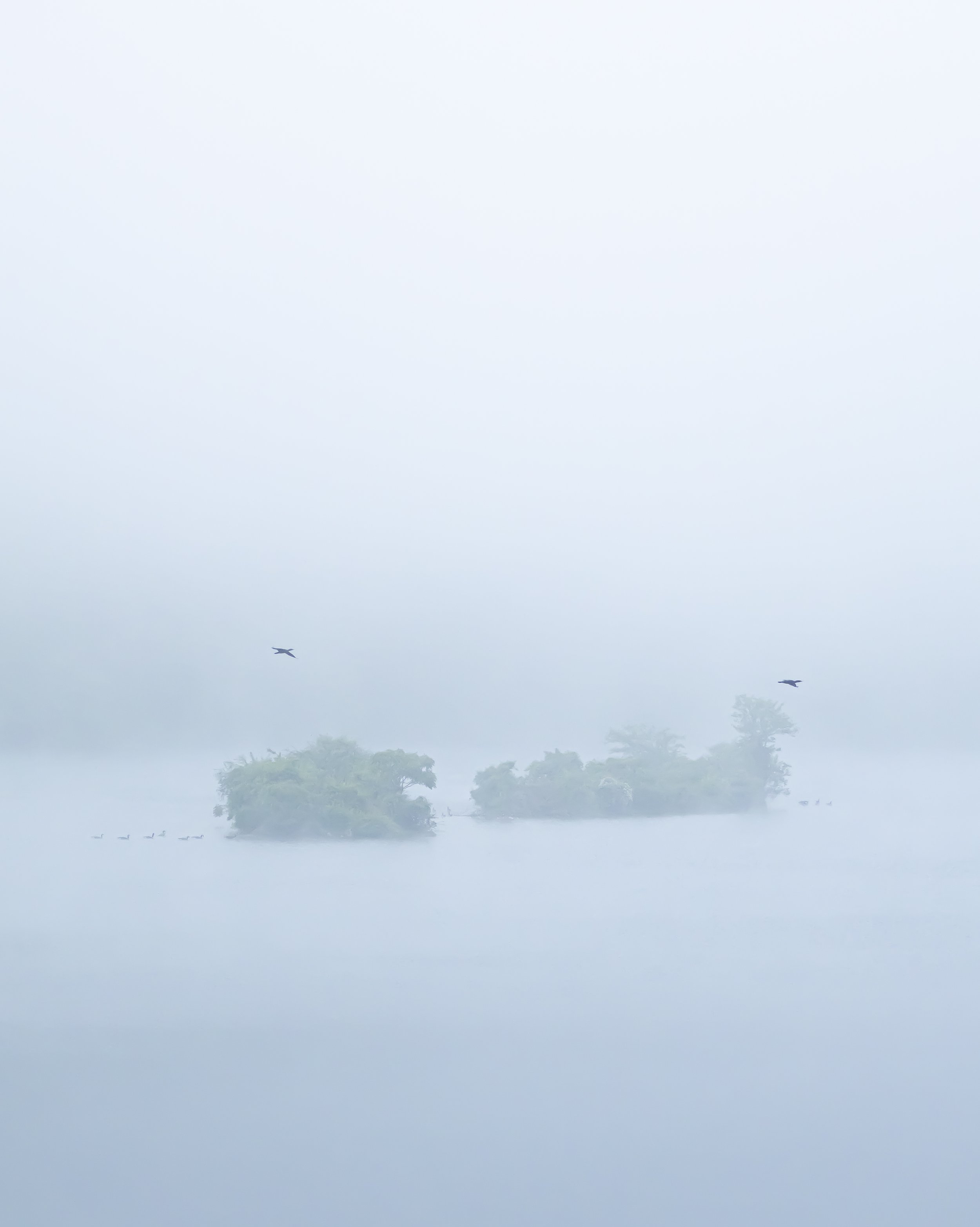 Website - Landscape - Home at Dawn.jpg