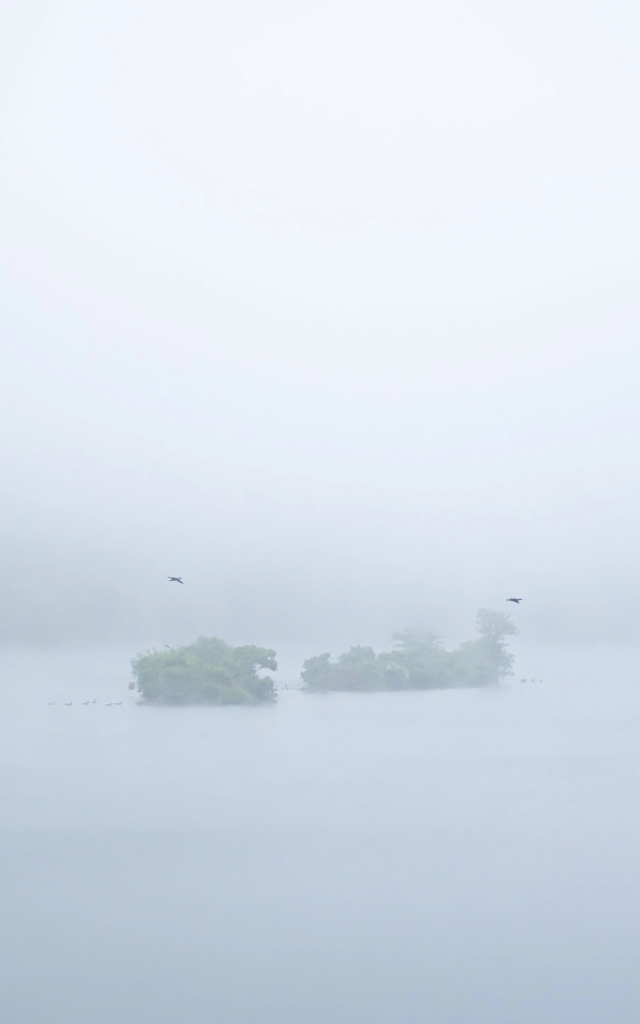 Website - Landscape - Home at Dawn-1.jpg