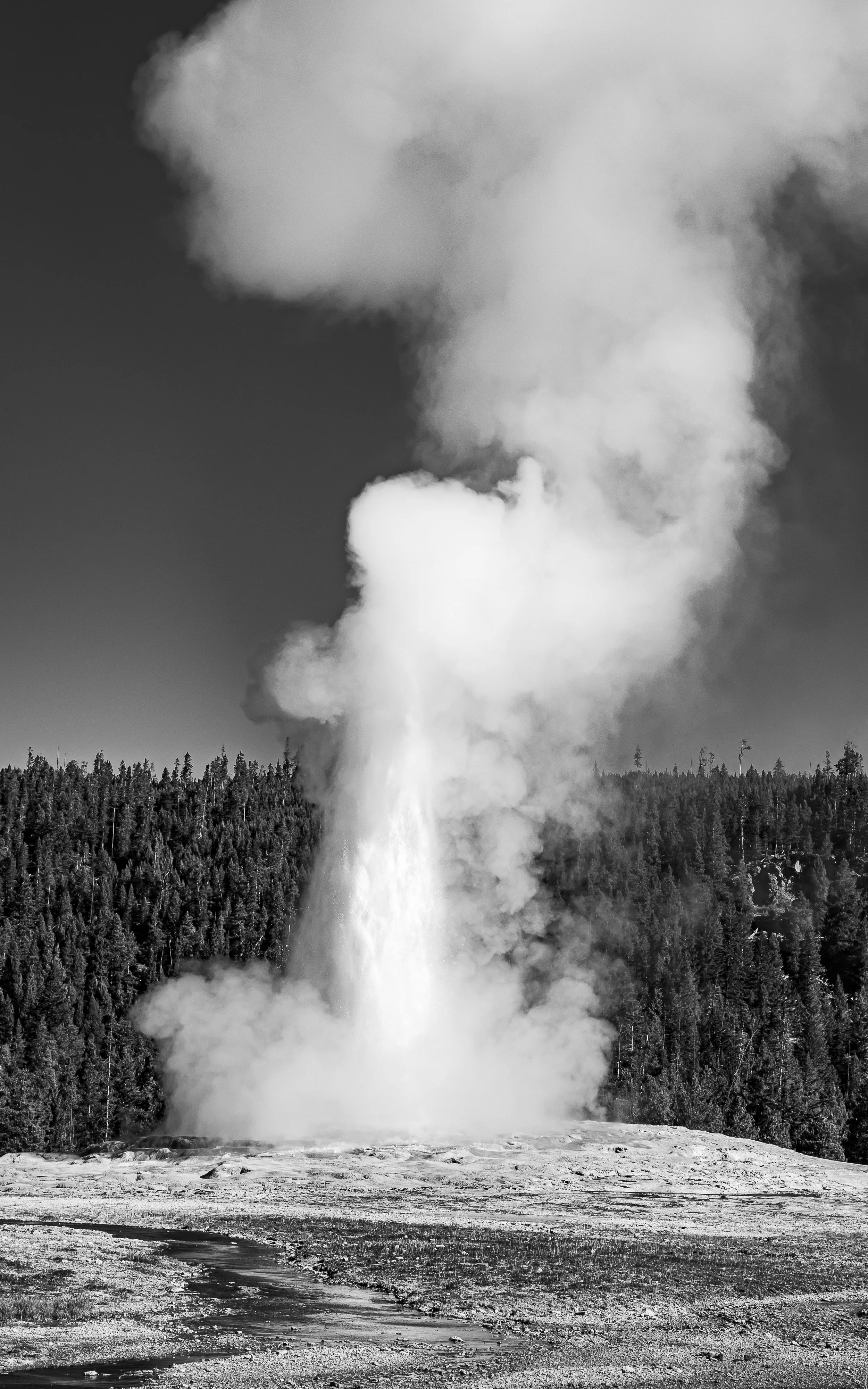 Old Faithful - Mother Nature's Voice B&W.jpg