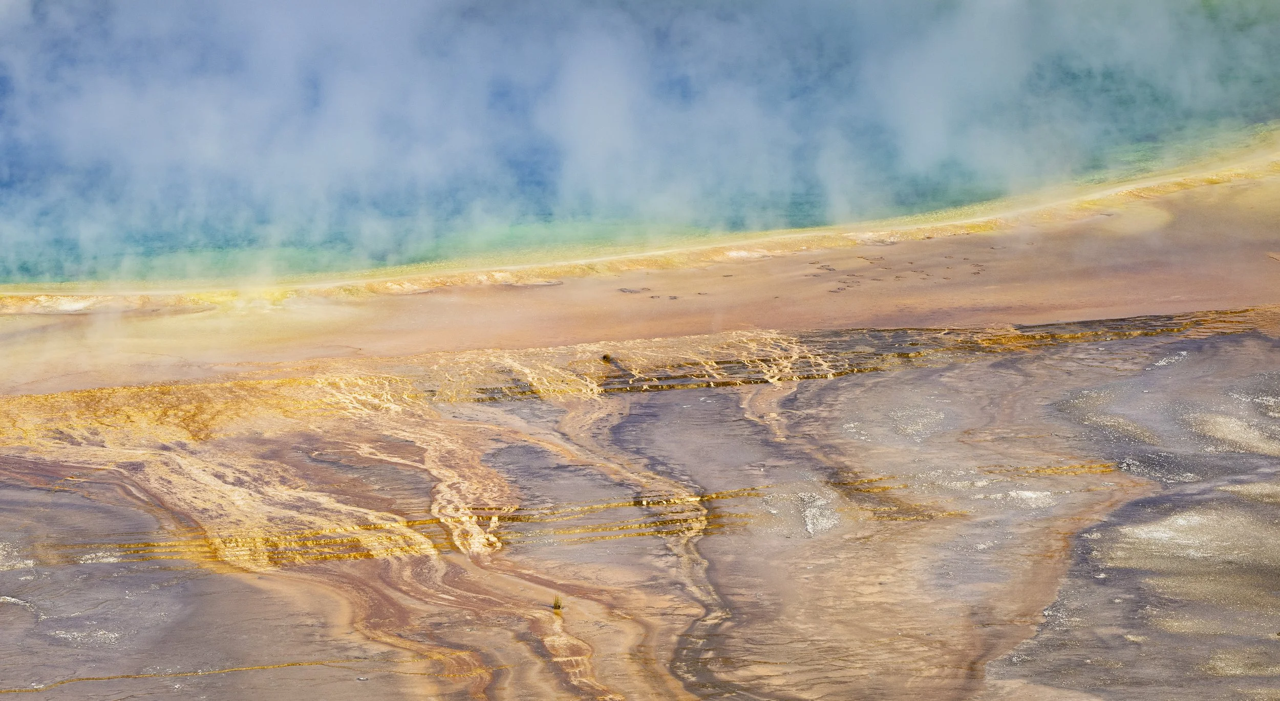 Website - Landscape - Grand Prismatic Spring-1.jpg