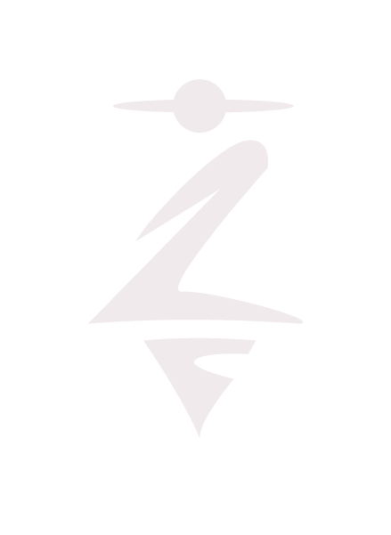 Secondary emblem represents a highlander individual. The emblem is used on the Olympic Medal, Patron, and Athletic apparel. Also including patterns used on different assets.