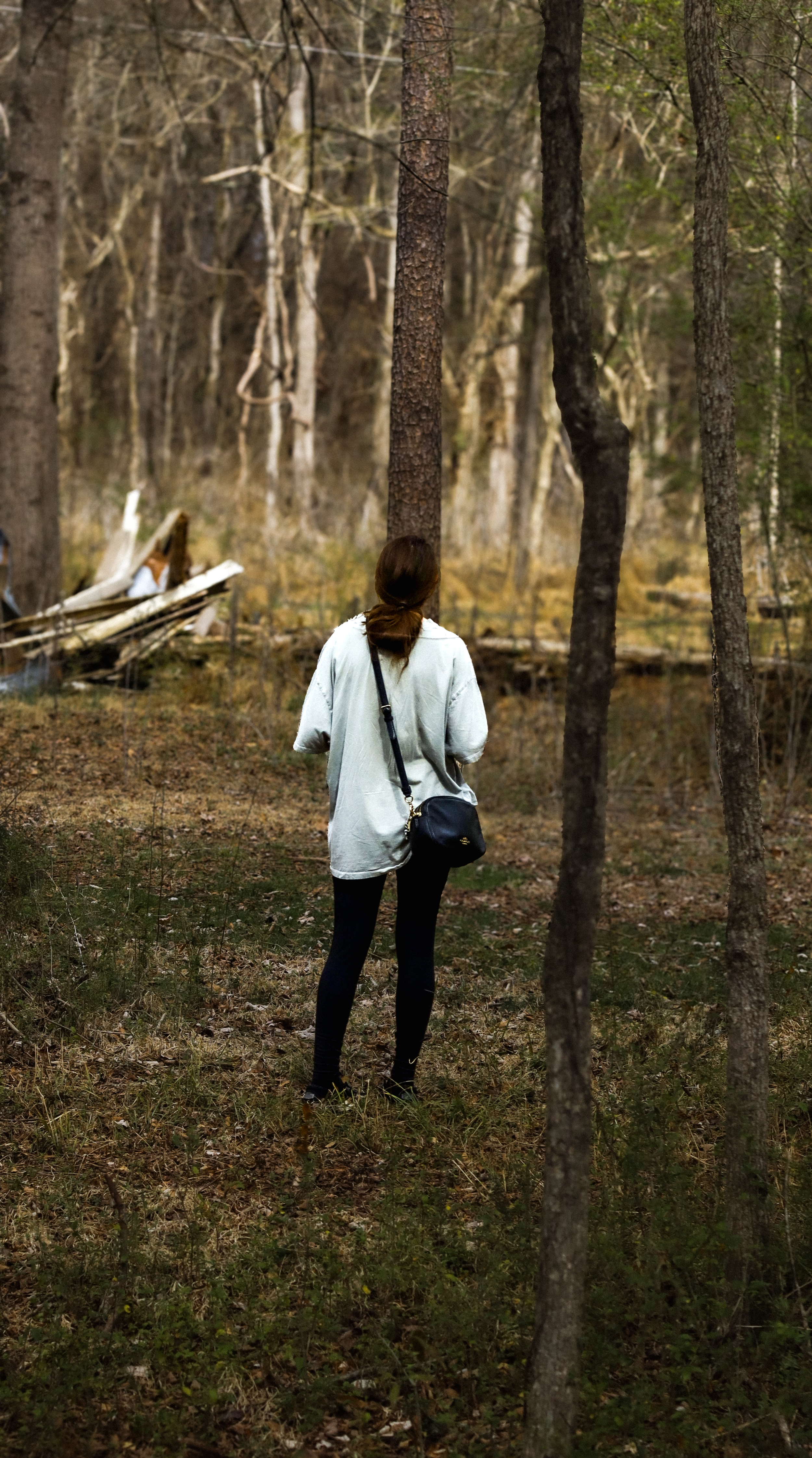 Woods.png