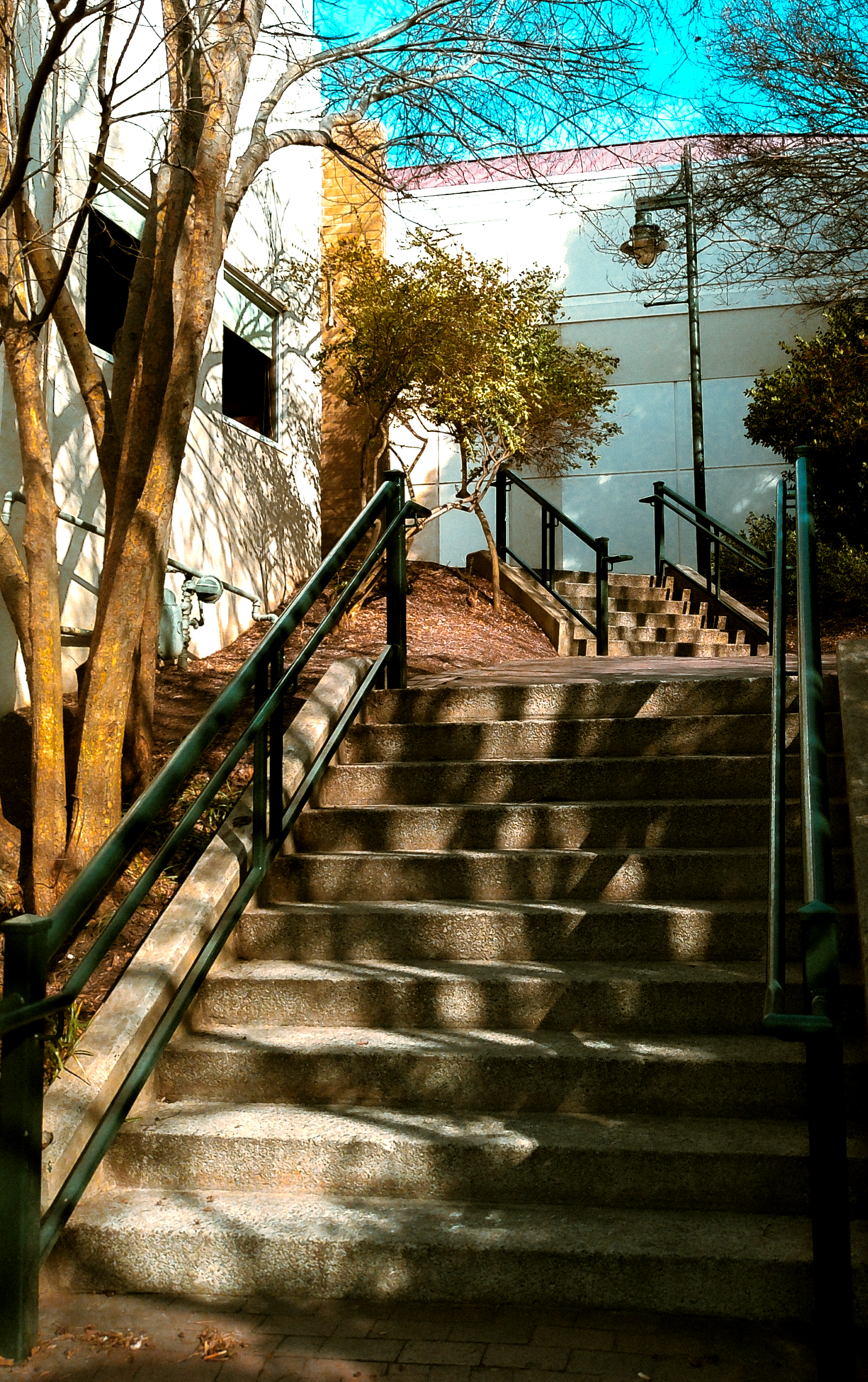 Concrete stairs leading up to a building, with green metal railings on each side, surrounded by trees and bushes, under a cloudy sky.