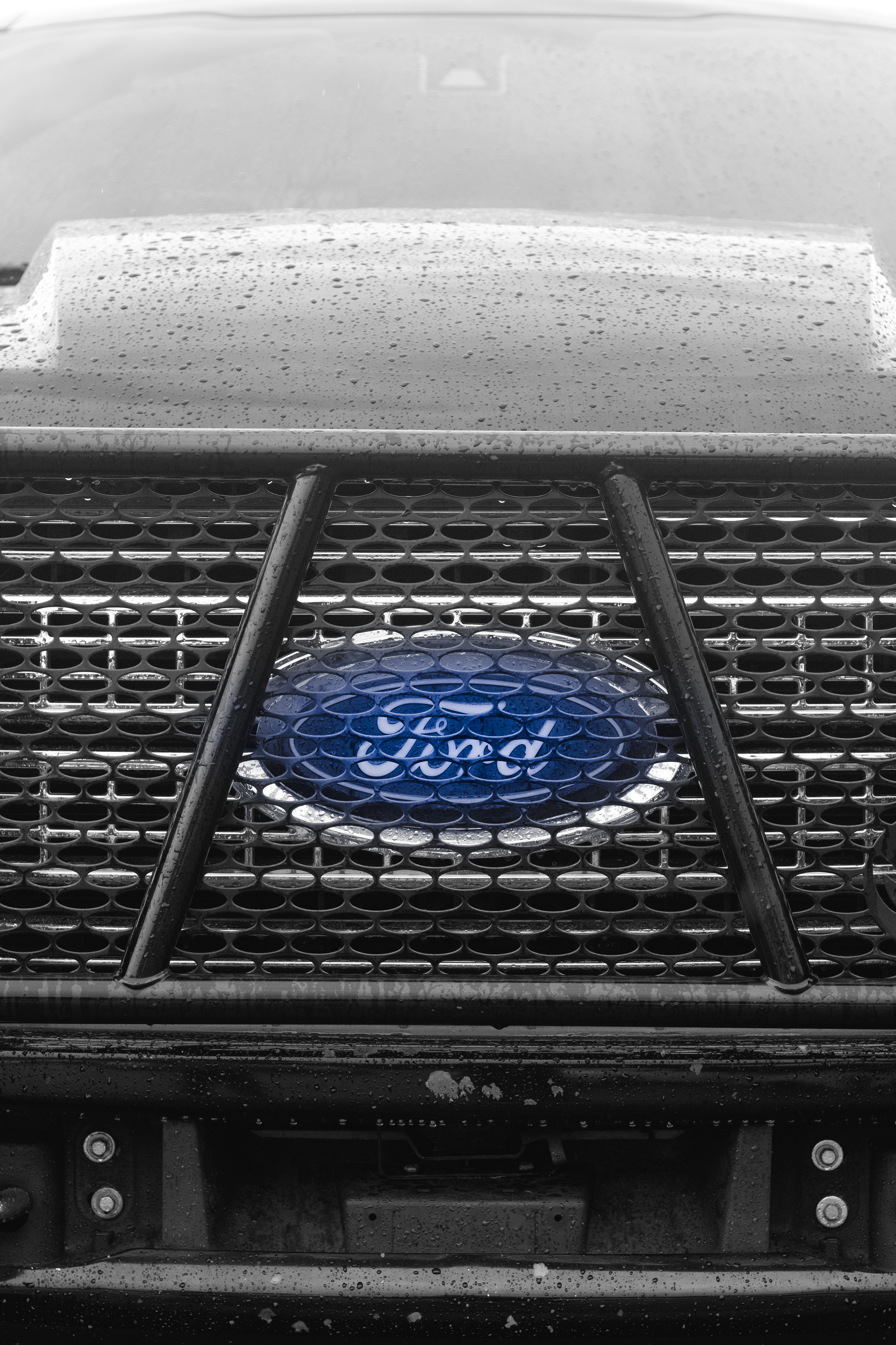 FORD_1.png