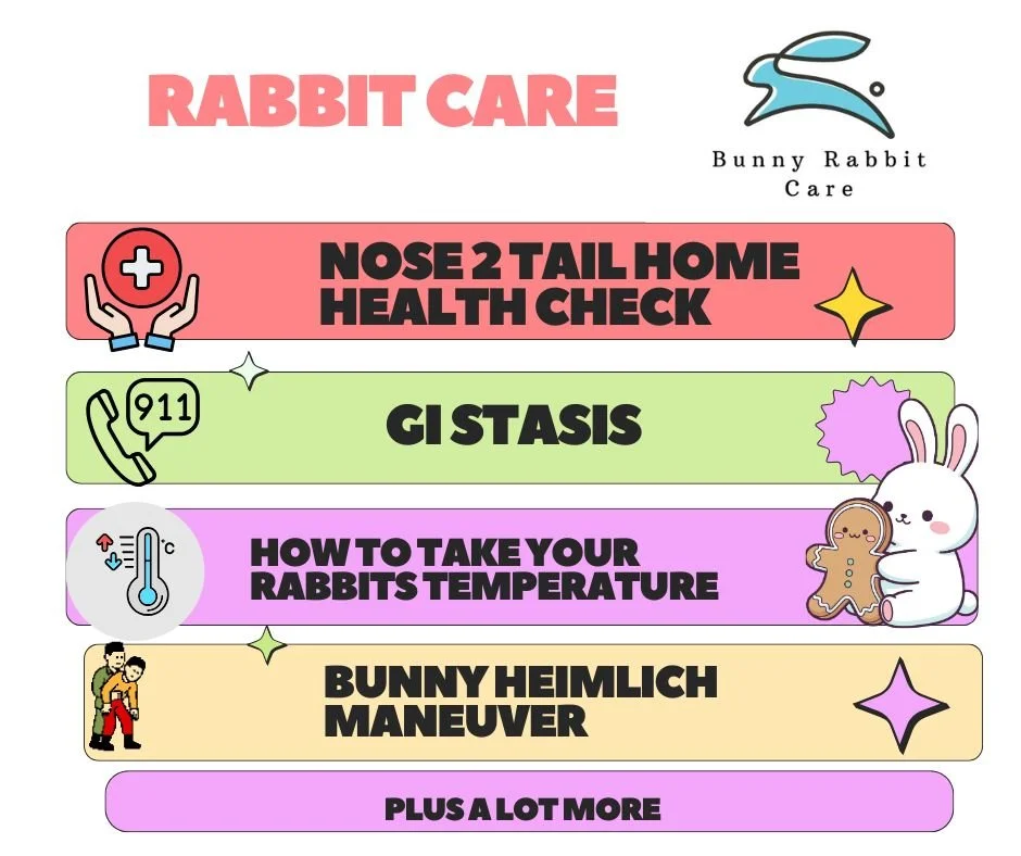 A colorful infographic titled 'Rabbit Care' providing tips on rabbit health and care. Sections include nose to tail health check, GI stasis, how to take rabbits' temperature, bunny Heimlich maneuver, and more. Features icons such as a heart with a cross, a phone with '911', a thermometer, a bunny with a gingerbread cookie, and a person helping a rabbit. The design uses bright pastel colors and cute bunny illustrations.