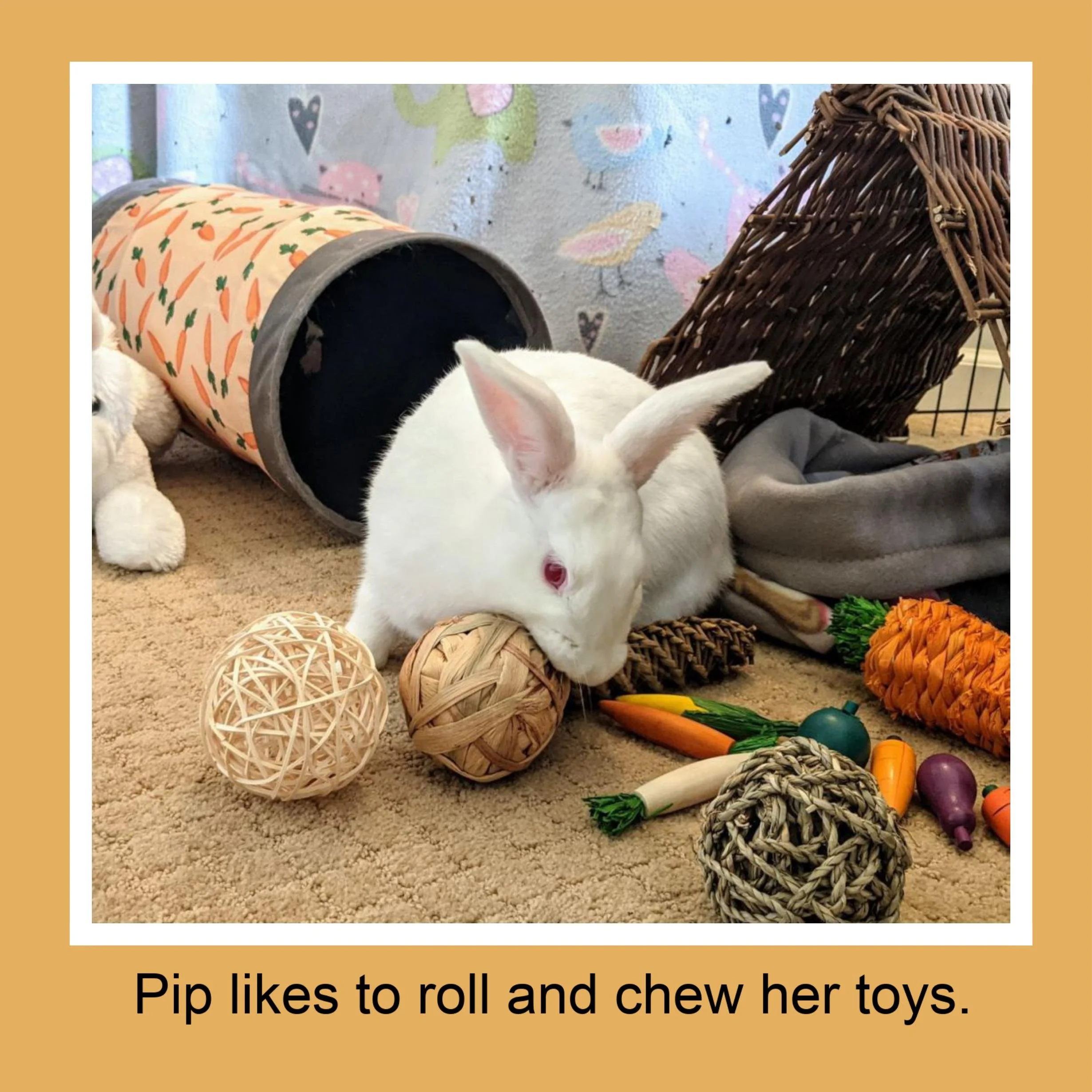A white rabbit with pink eyes chewing on a woven ball toy. The rabbit is surrounded by various other toys, including carrots and a rattan ball. Behind the rabbit, there are more toys and a fabric tunnel. The scene appears to be inside a pet play area