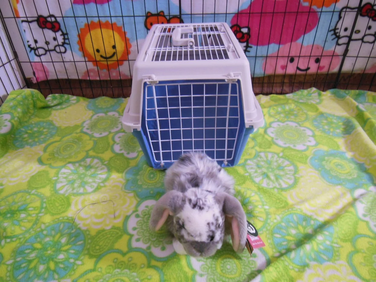 Ferplast Atlas Carrier