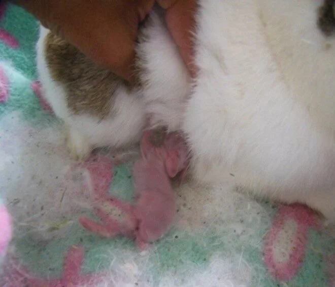 kits during during one-on-one nusring with Mom