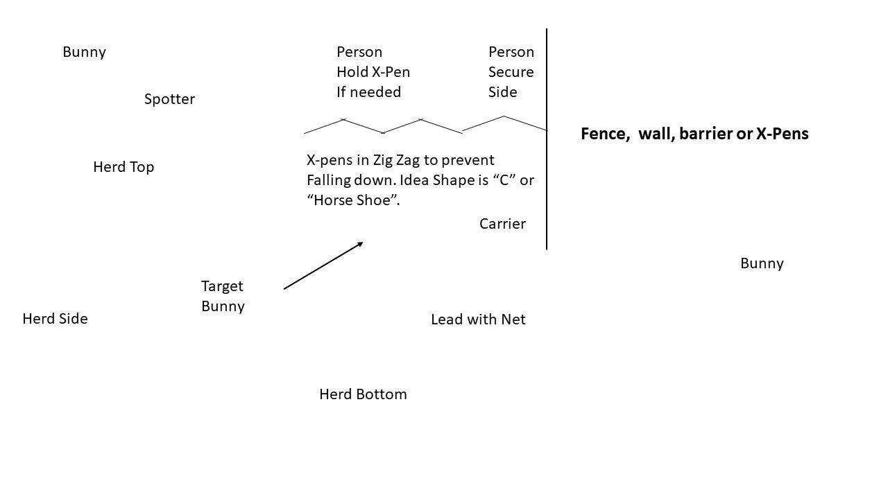 picture showing how to place xpens and people for the bunny rescue