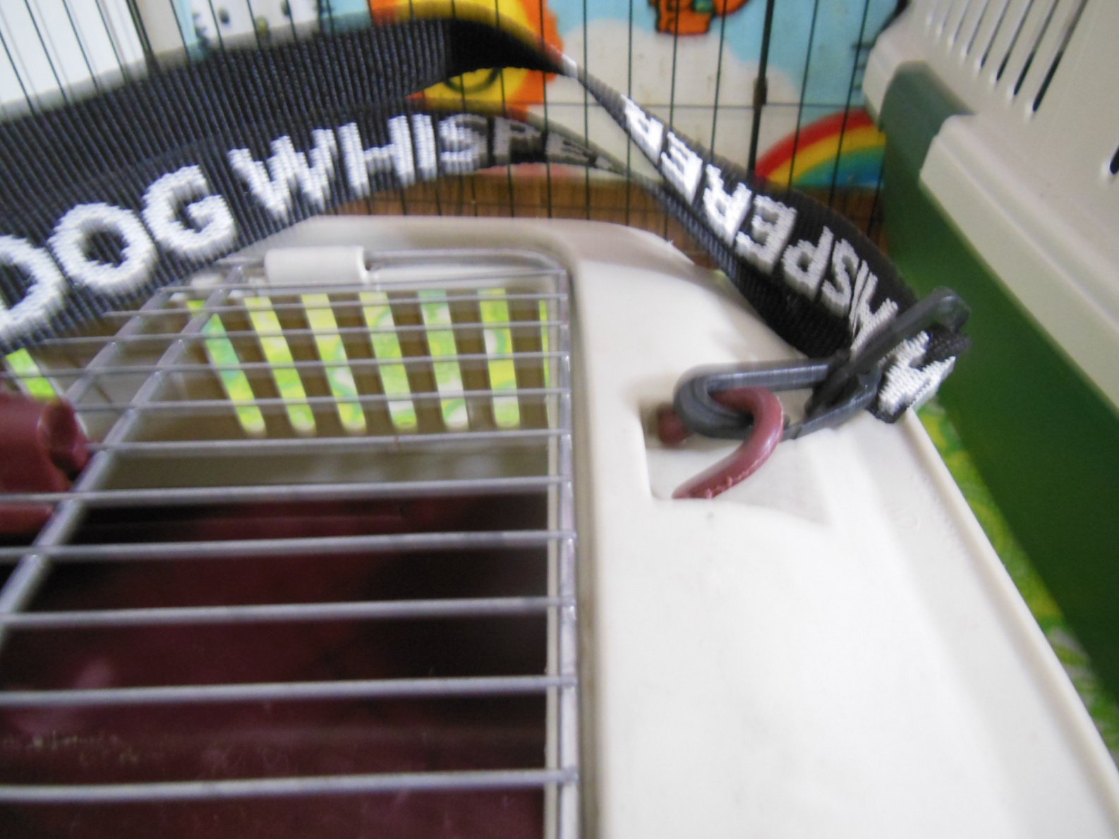 A small pet cage with a metal grid door, containing an open container with purple liquid and a pinkish worm or caterpillar on the surface of the cage.