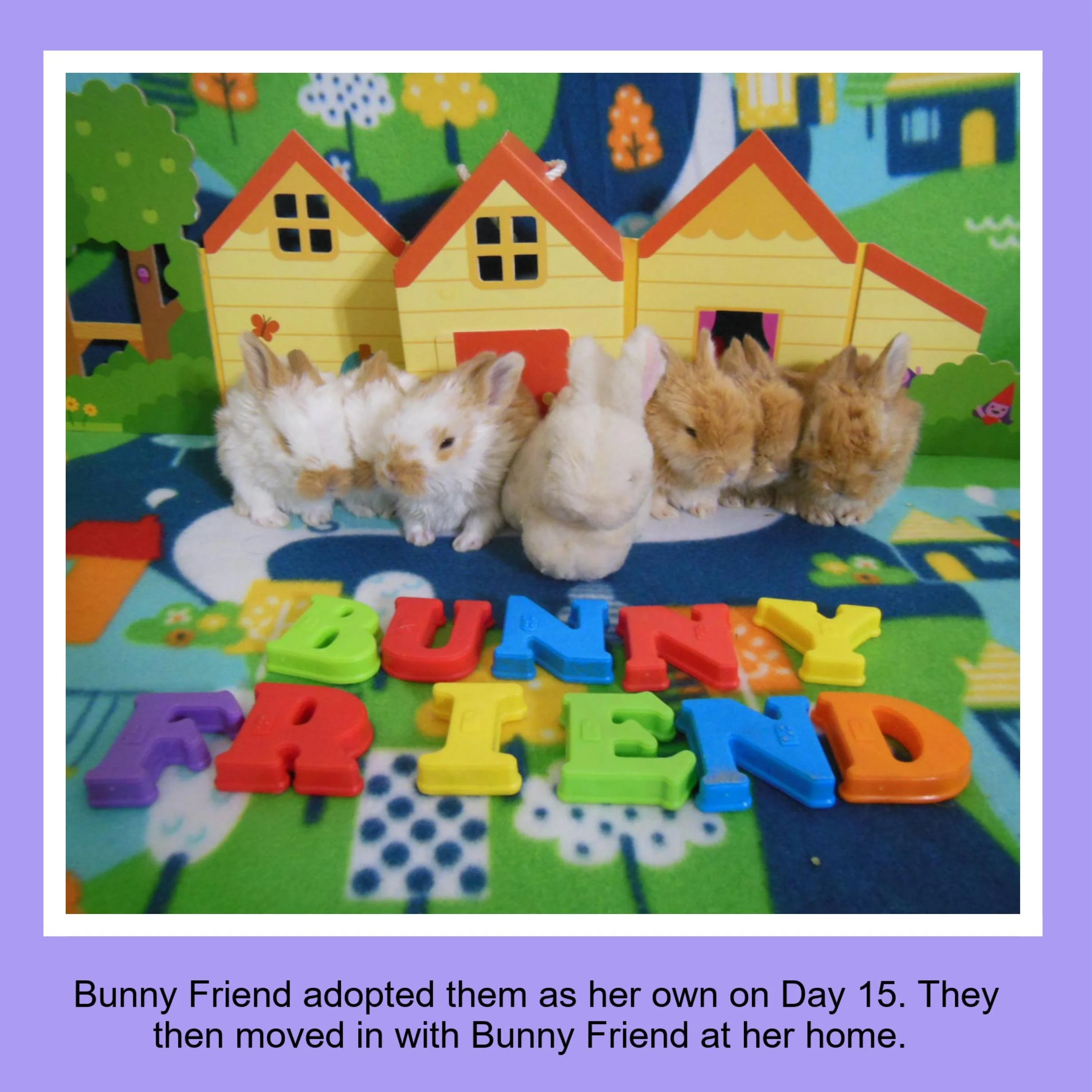 Six baby bunnies in front of a colorful playhouse with a backdrop of a cartoon outdoor scene, and the words 'BUNNY FRIEND' spelled out with multicolored alphabet letters.
