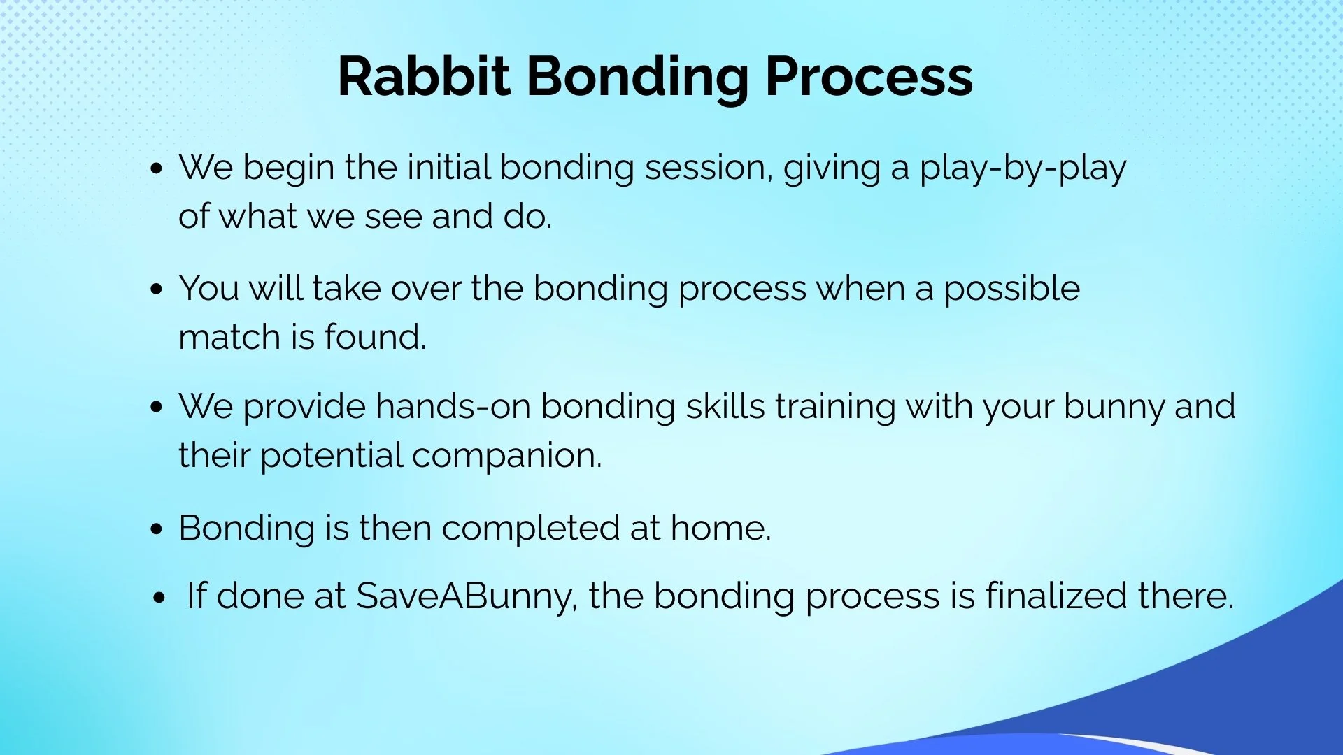 Slide titled 'Rabbit Bonding Process' with bullet points explaining steps in bonding rabbits, such as initial sessions, hands-on training, and finishing at home or at SaveABunny.
