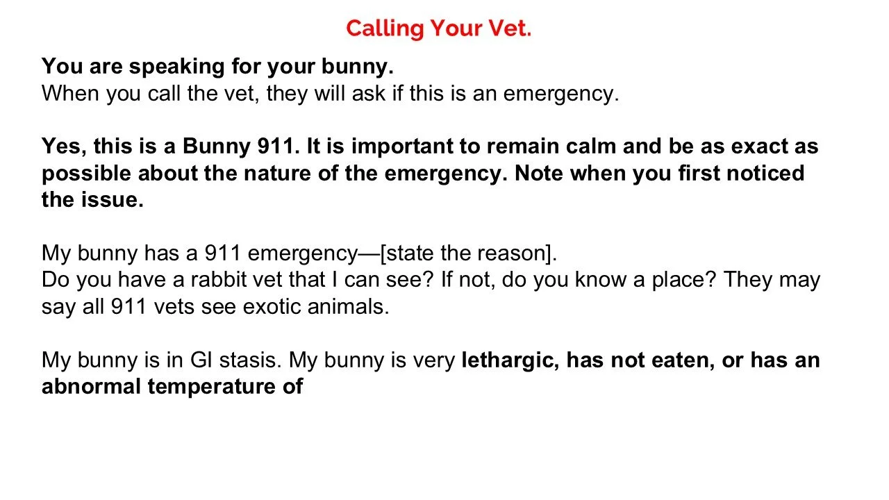 A document titled 'Calling Your Vet' with instructions for calling the vet about a pet rabbit emergency, emphasizing calmness and specific information to provide.