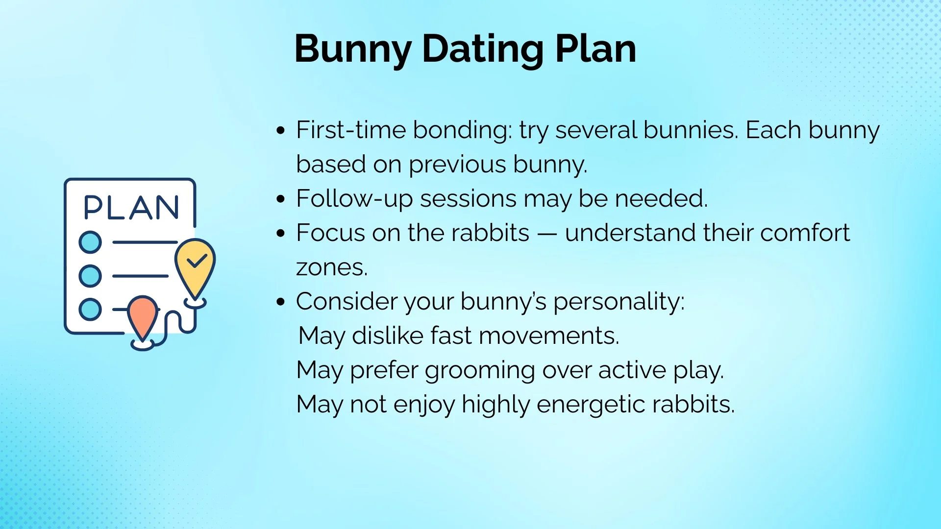 Bunny dating plan with tips for bonding, follow-up, understanding rabbit's comfort zones, and considering bunny's personality, alongside an illustration of a plan checklist.