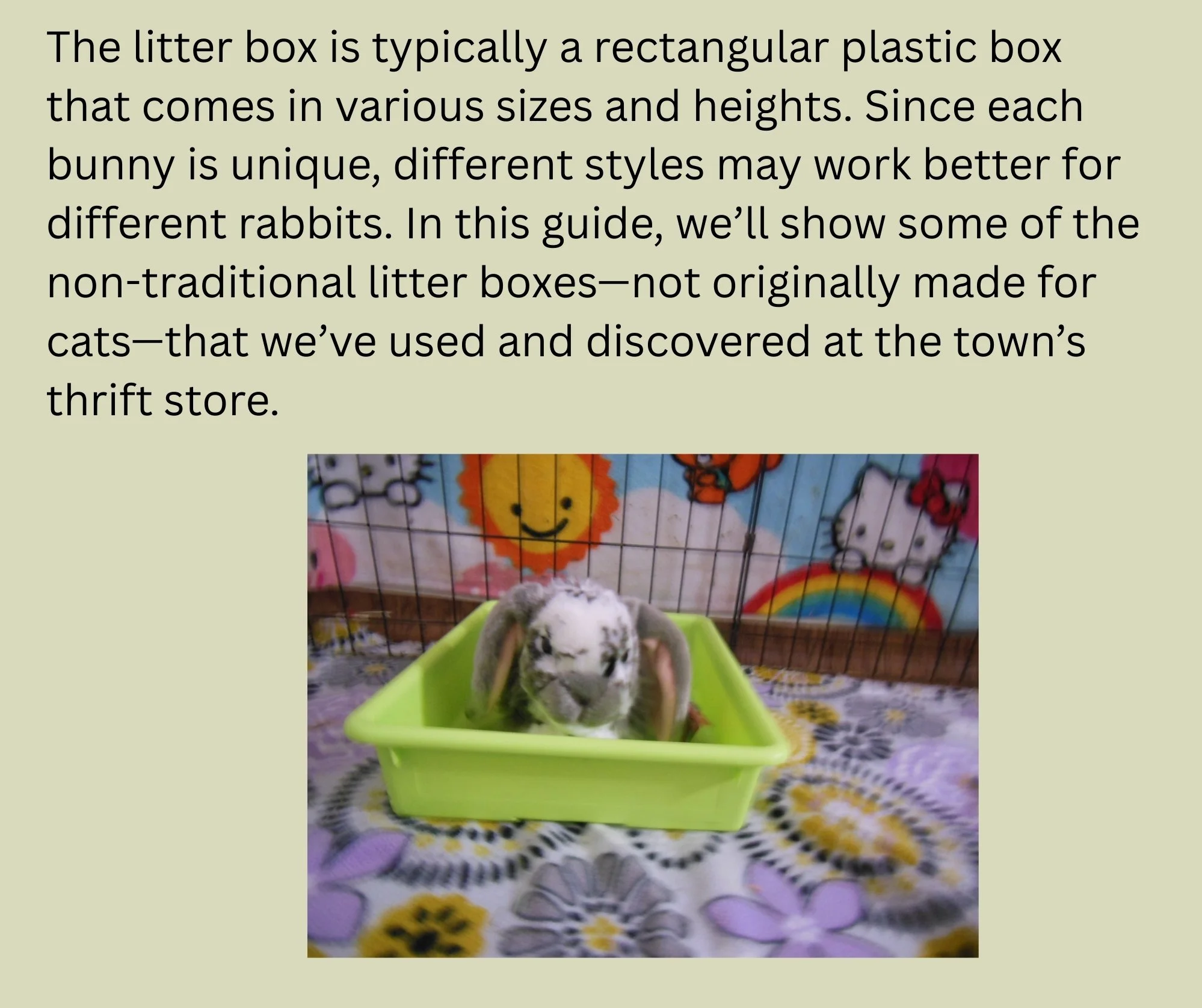 A small rabbit with spotted fur and floppy ears sitting in a green plastic litter box on a floral blanket, with a colorful background featuring cartoon sun, rainbow, and Hello Kitty illustrations.