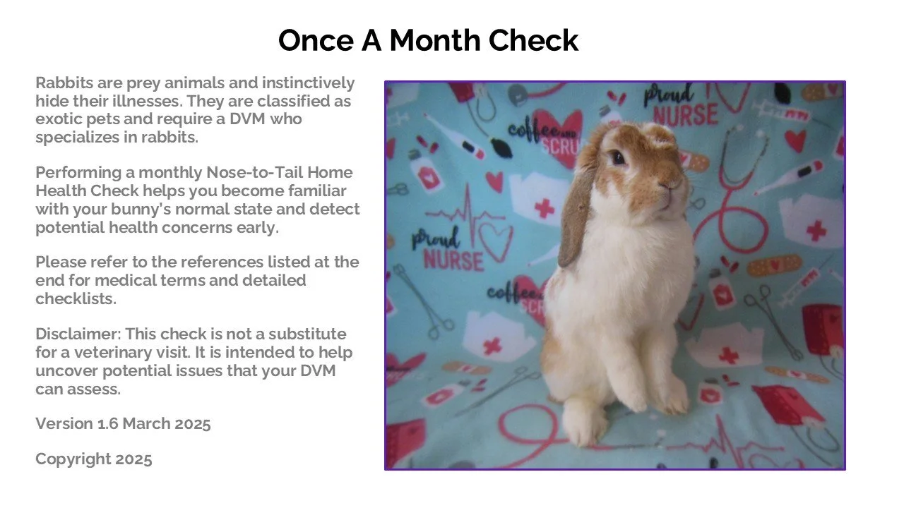 Photo of a brown and white rabbit with one ear slightly folded, sitting on a colorful veterinary-themed blanket with medical symbols and text.