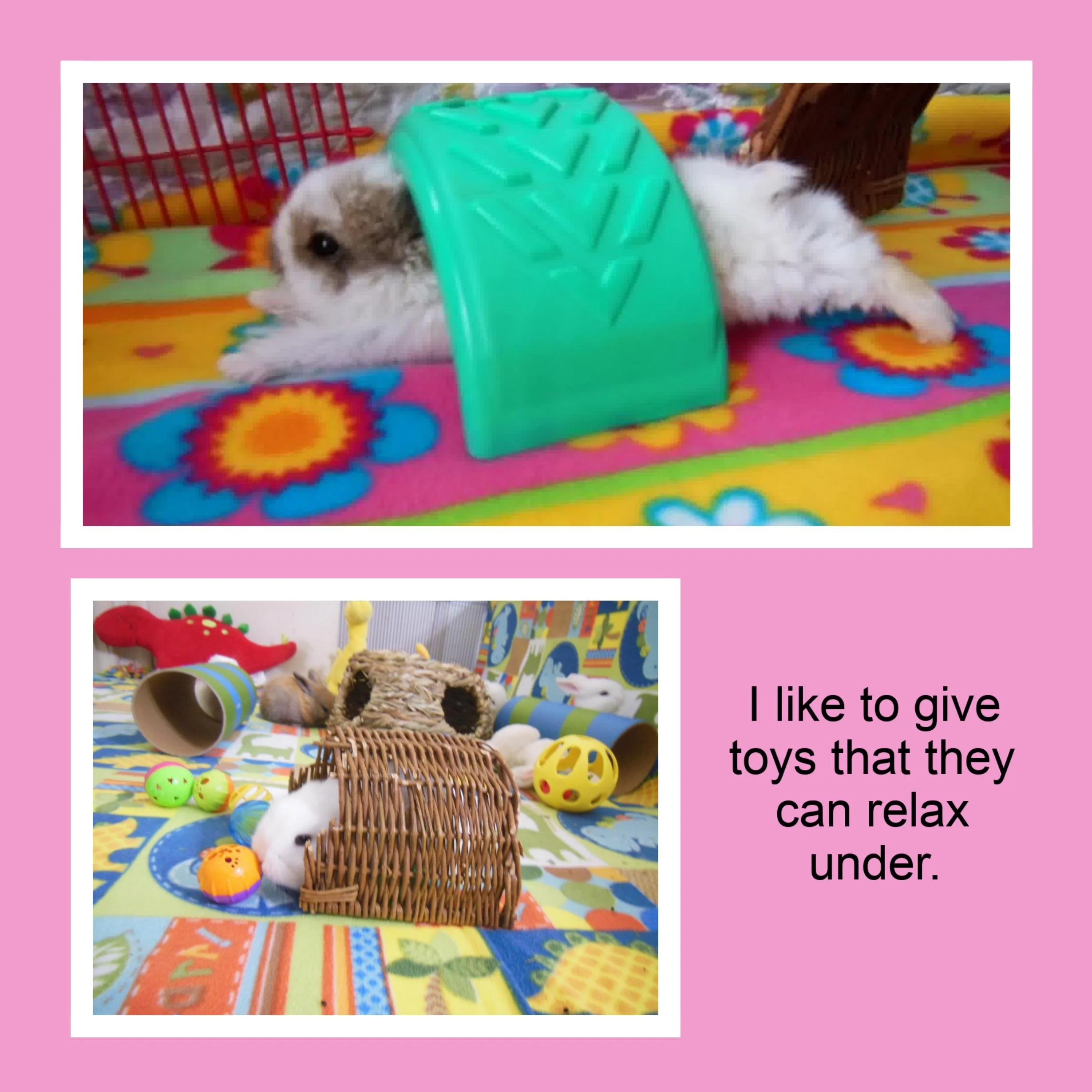 Two young pet rabbits in colorful, toy-filled environments. The top rabbit is white with a black and gray face, lying on a floral carpet next to a green plastic toy. The bottom scene shows a white rabbit partially inside a wicker tunnel surrounded by