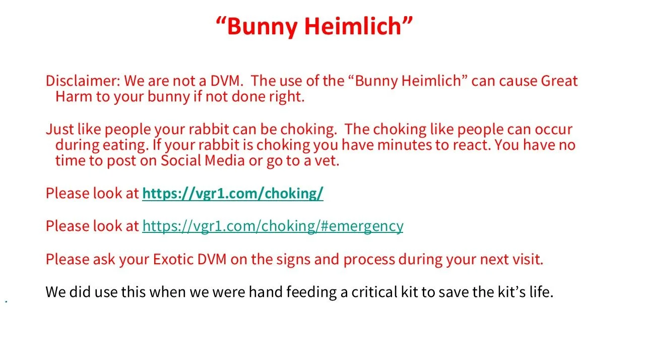 Text about Bunny Heimlich and choking prevention for bunnies, including links to websites and advice for pet owners.