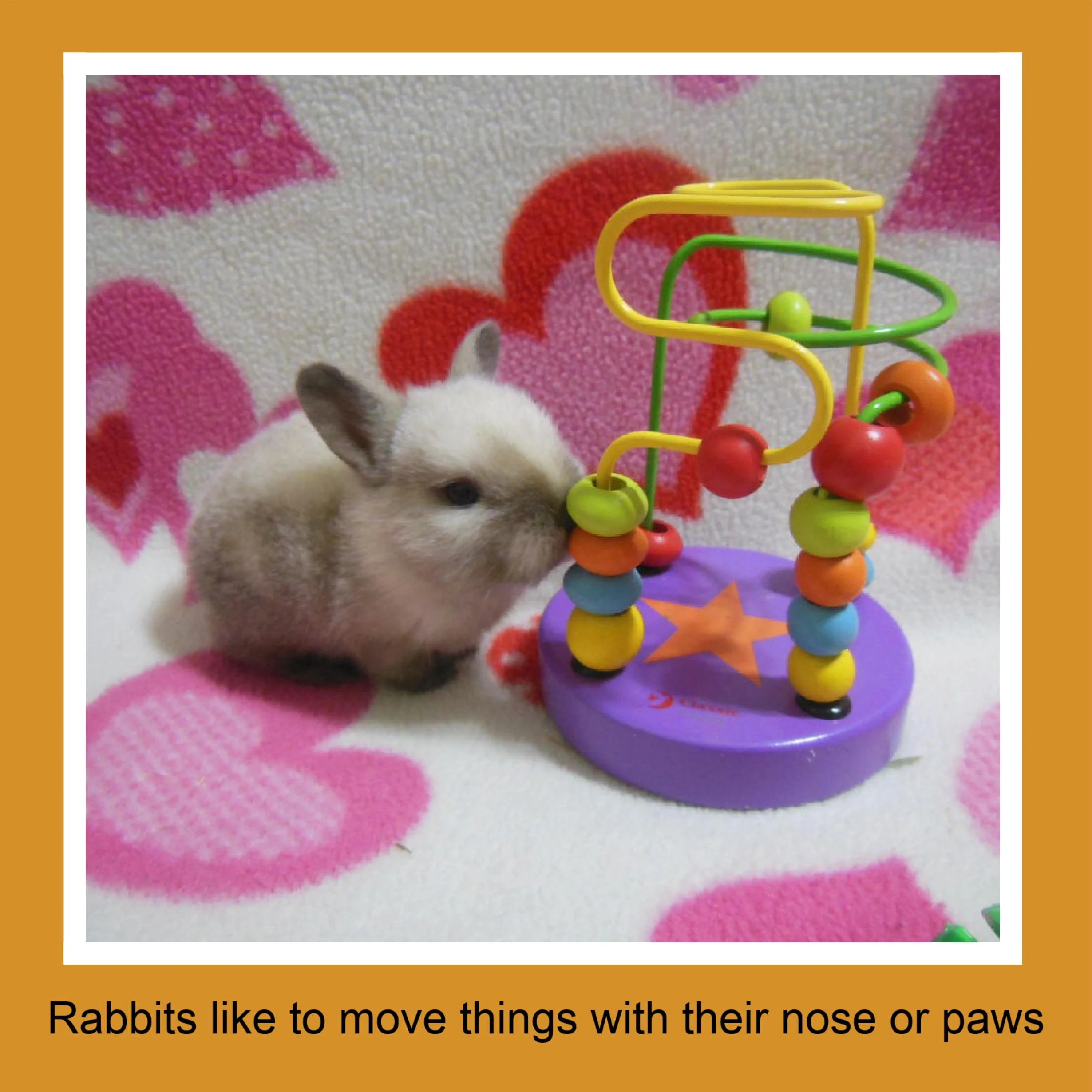 A small, fluffy rabbit interacting with a colorful bead maze toy on a soft pink and white blanket with heart patterns.