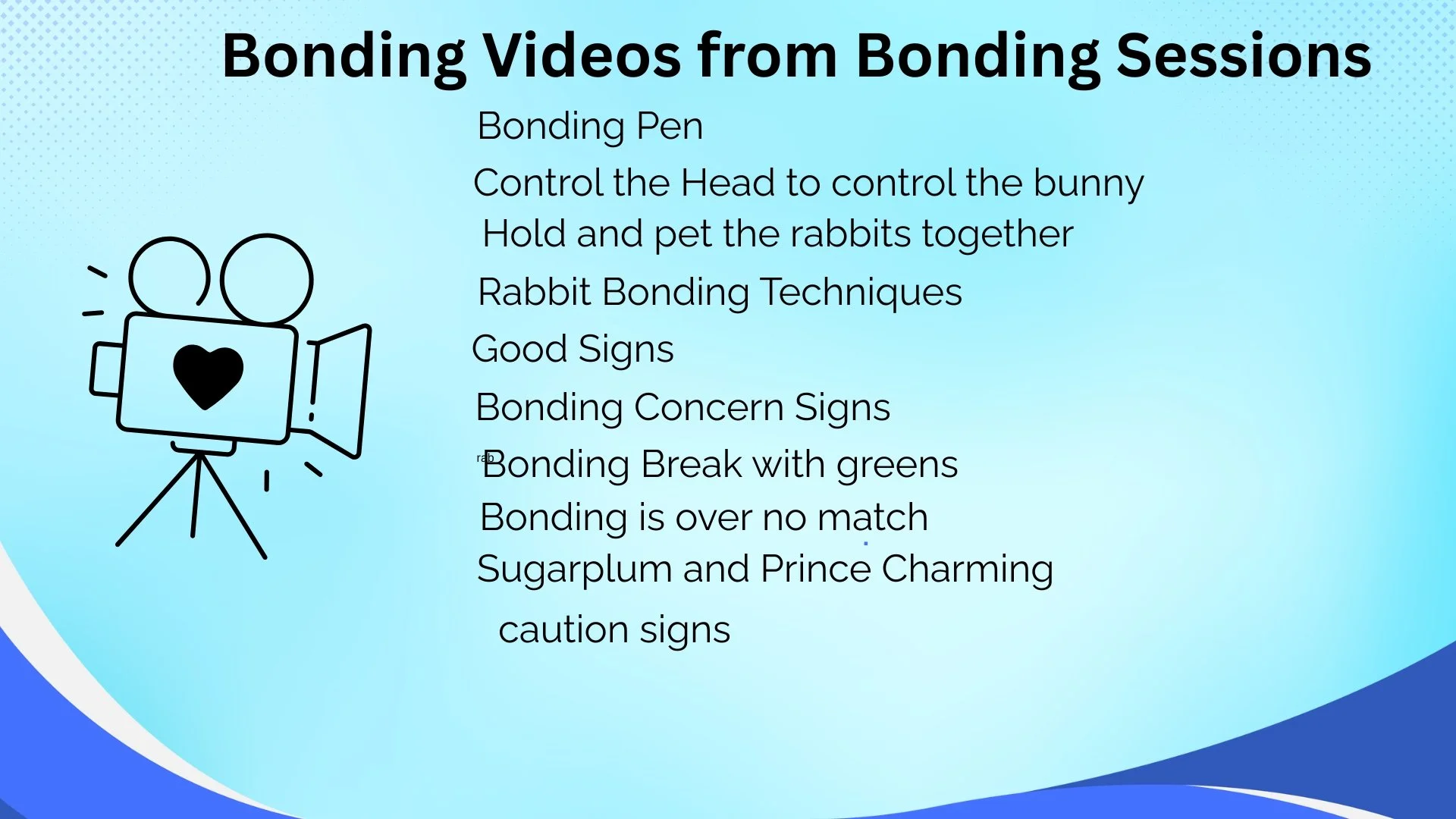 Slide titled 'Bonding Videos from Bonding Sessions' with a list of bonding techniques, including bond with a pen, control the head to control the bunny, hold and pet the rabbits, rabbit bonding techniques, good signs, concern signs, break with greens, no match, and caution signs. There is also a simple illustration of a video camera with a heart on its screen.