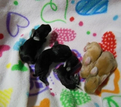 Most critical of 5 kits from Mom + 13