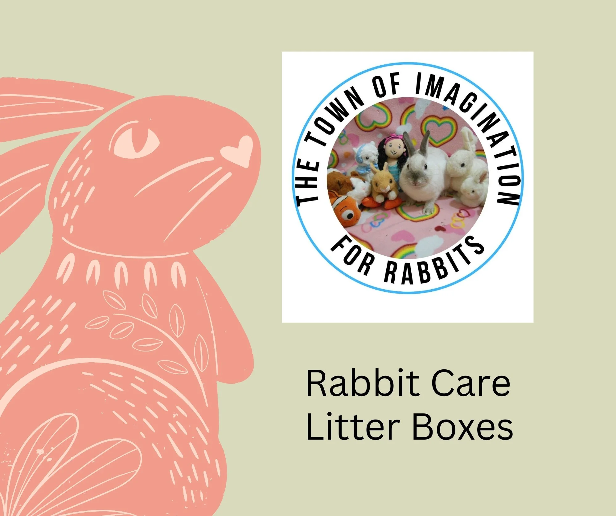 A digital graphic featuring a pink rabbit illustration on the left and a rabbit with stuffed animals in a circle with the text "The Town of Imagination for Rabbits" above and below on the right. Below, black text reads "Rabbit Care Litter Boxes".