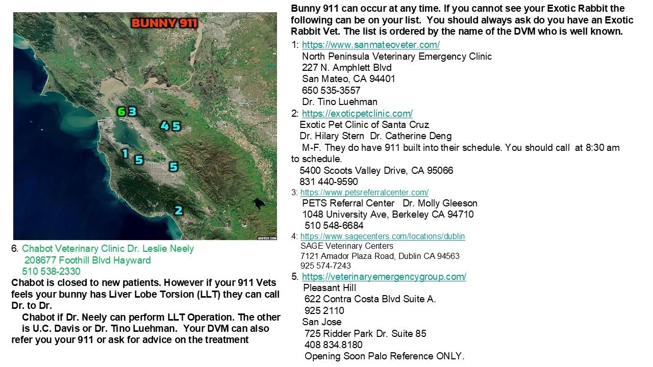 Map of Santa Cruz with numbered locations and a list of veterinary clinics and emergency services for exotic rabbits, including contact information.
