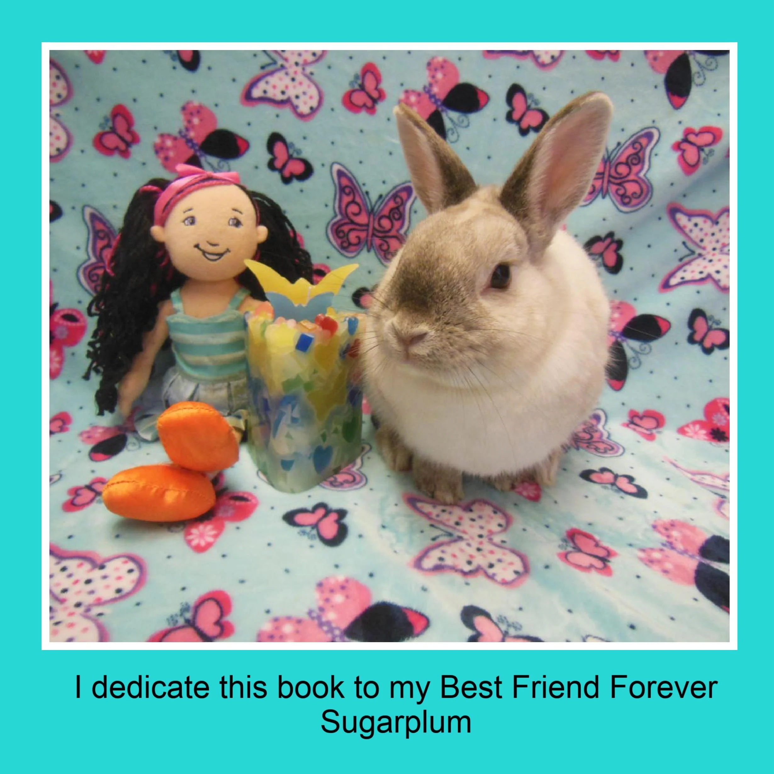 A plush doll with dark hair, a bunny rabbit, carrots, and a colorful decorative cup on a butterfly-patterned fabric background.