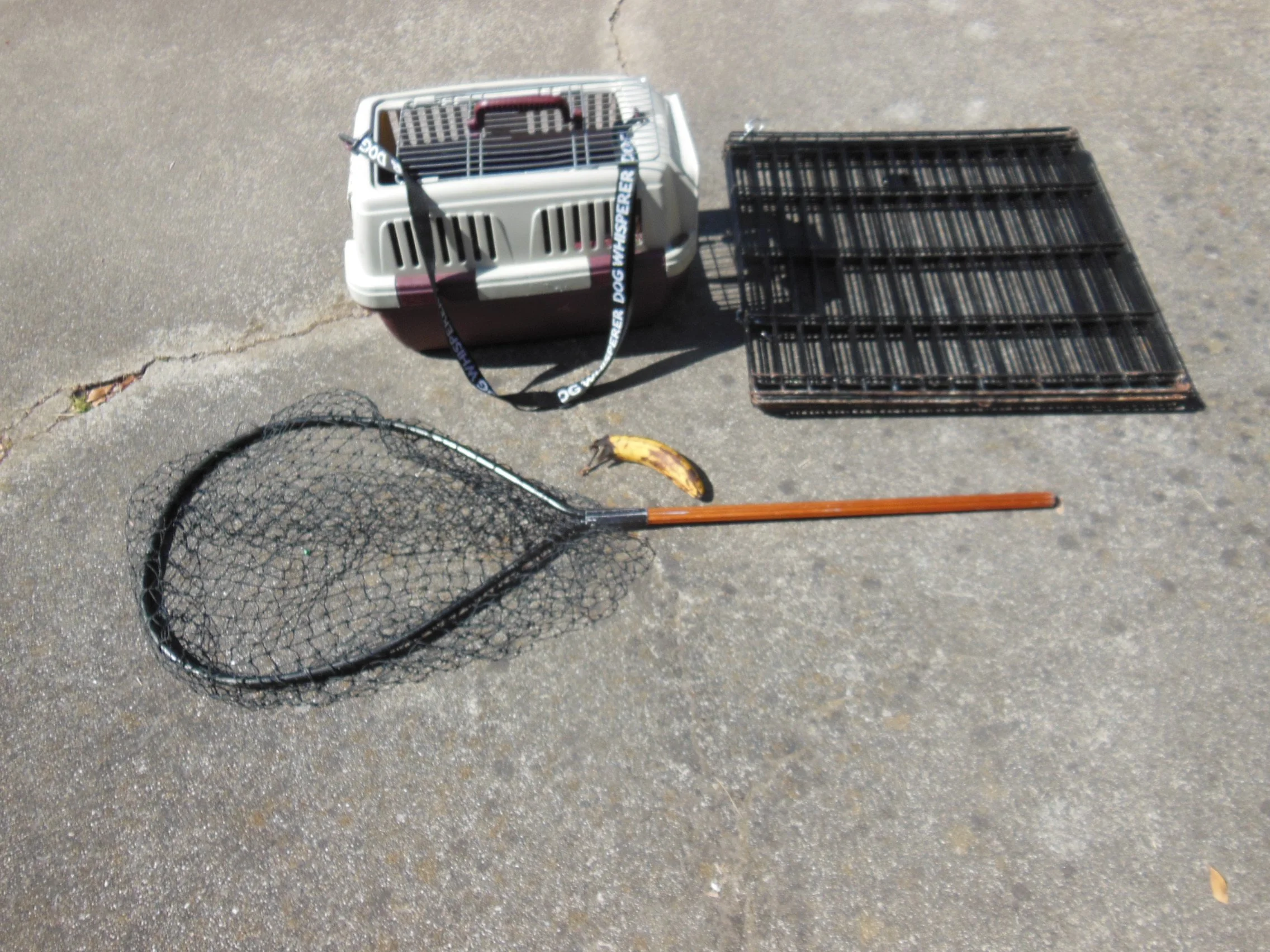 basic tools to rescue a rabbit carrier, xpen, net and banana