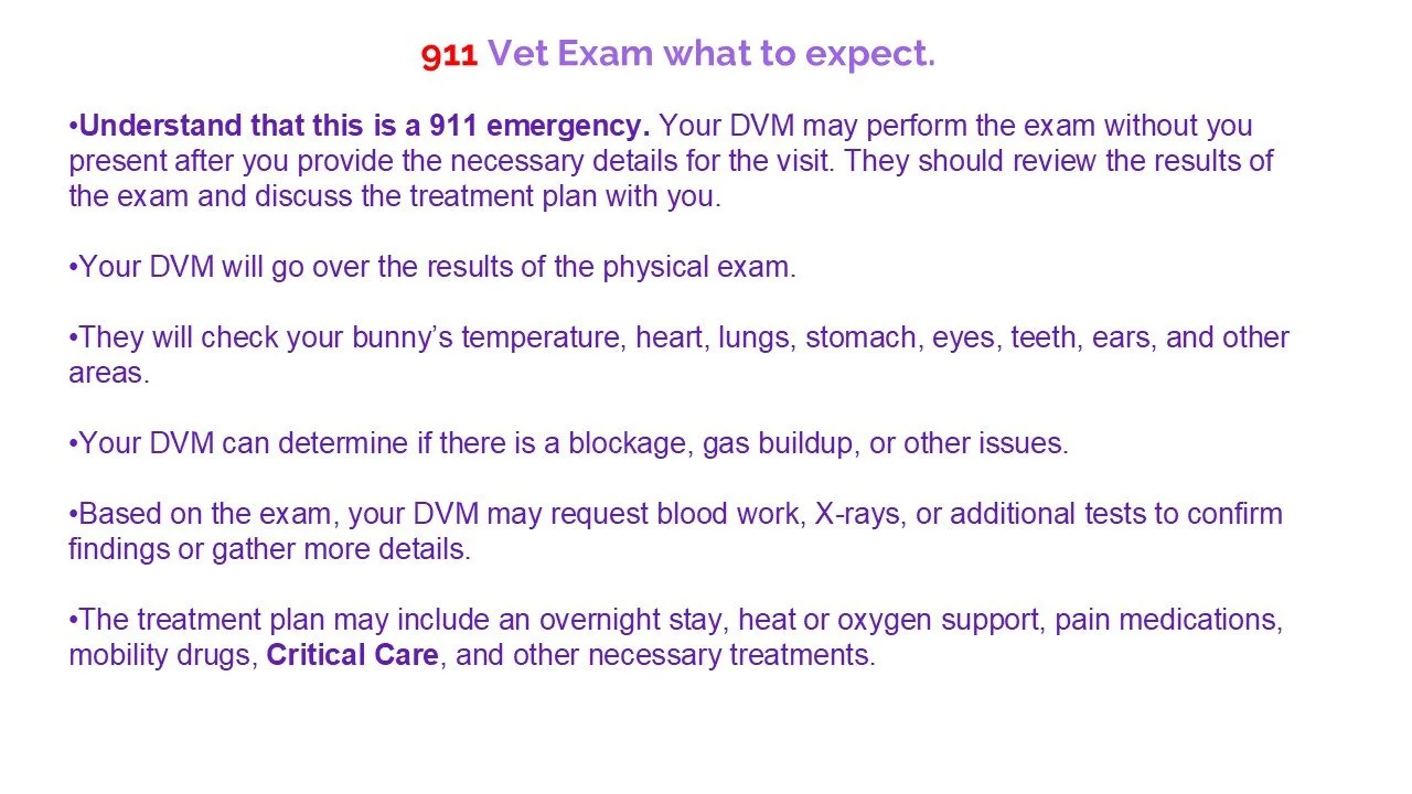 Information sheet titled '911 Vet Exam what to expect' with bullet points explaining the emergency veterinary exam process, including physical examination, blood tests, and potential treatments.
