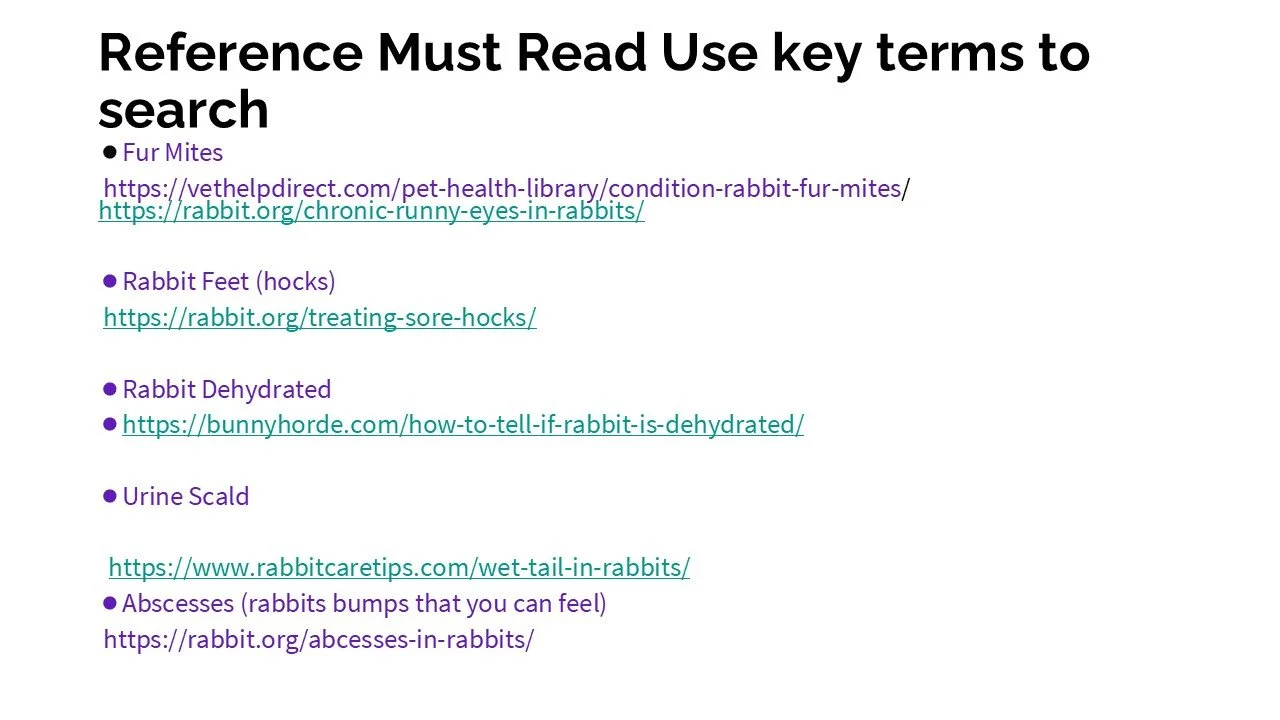 List of key terms to search for rabbit health issues, including fur mites, rabbit feet, dehydration, urinary scald, and abscesses, with URLs for more information.