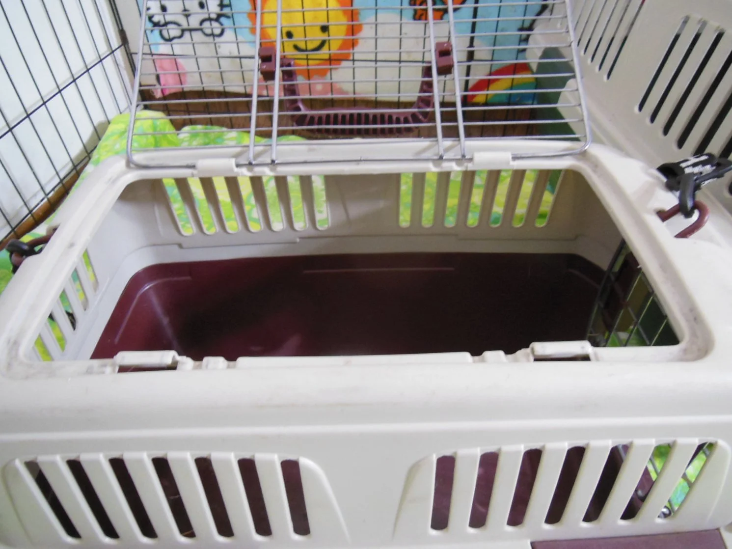Empty pet carrier with a metal door, plastic sides, and a dark-colored interior, placed inside a room with furry friends visible in the background.