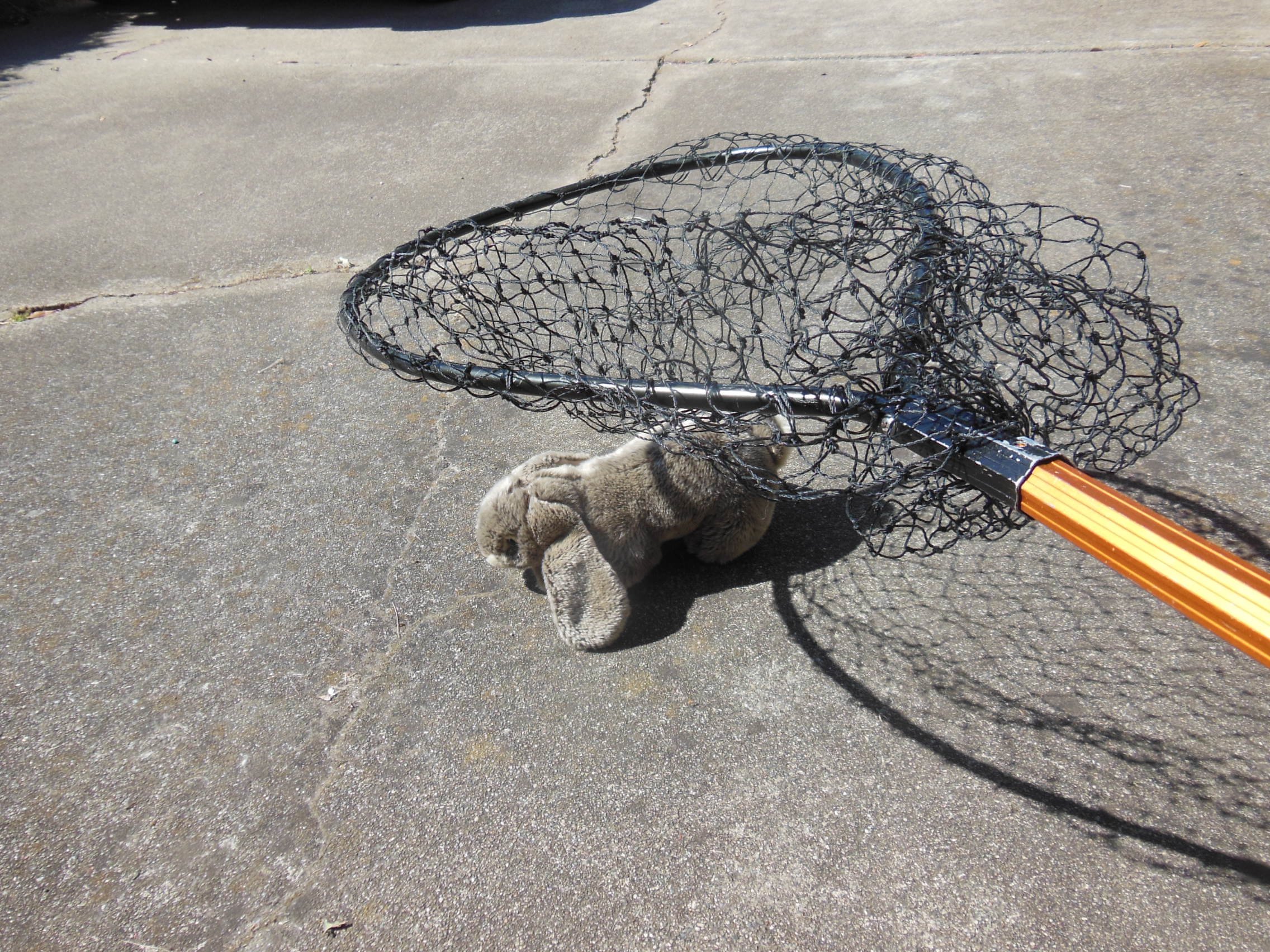 showing how to use a net to rescue a dump bunny