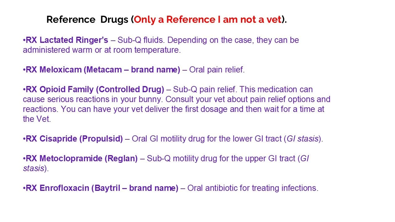 Text-based list titled 'Reference Drugs (Only a Reference I am not a vet)' with descriptions of veterinary medications including RX Lactated Ringer's, RX Meloxicam, RX Opioid Family, RX Cisapride, RX Metoclopramide, and RX Enrofloxacin.