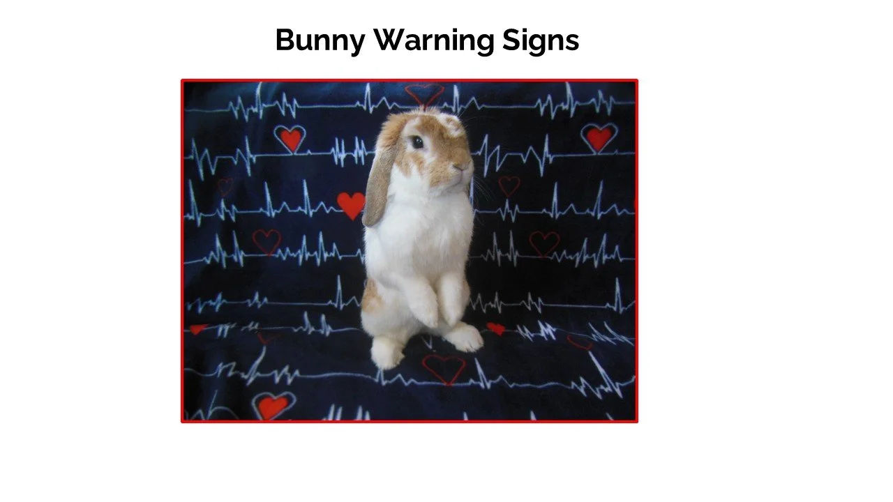 A bunny with a rabbit's face and ears, but the body of a rabbit on its hind legs, against a background of heartbeat lines and red hearts, with the text 'Bunny Warning Signs' at the top.