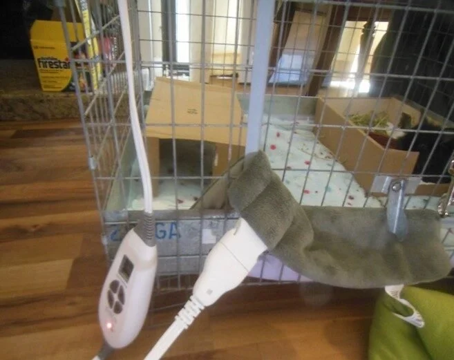 Cat inside a cage, scratching post outside, irregularly shaped towel hanging on the cage door, two plugged-in cords nearby, on a wooden floor.