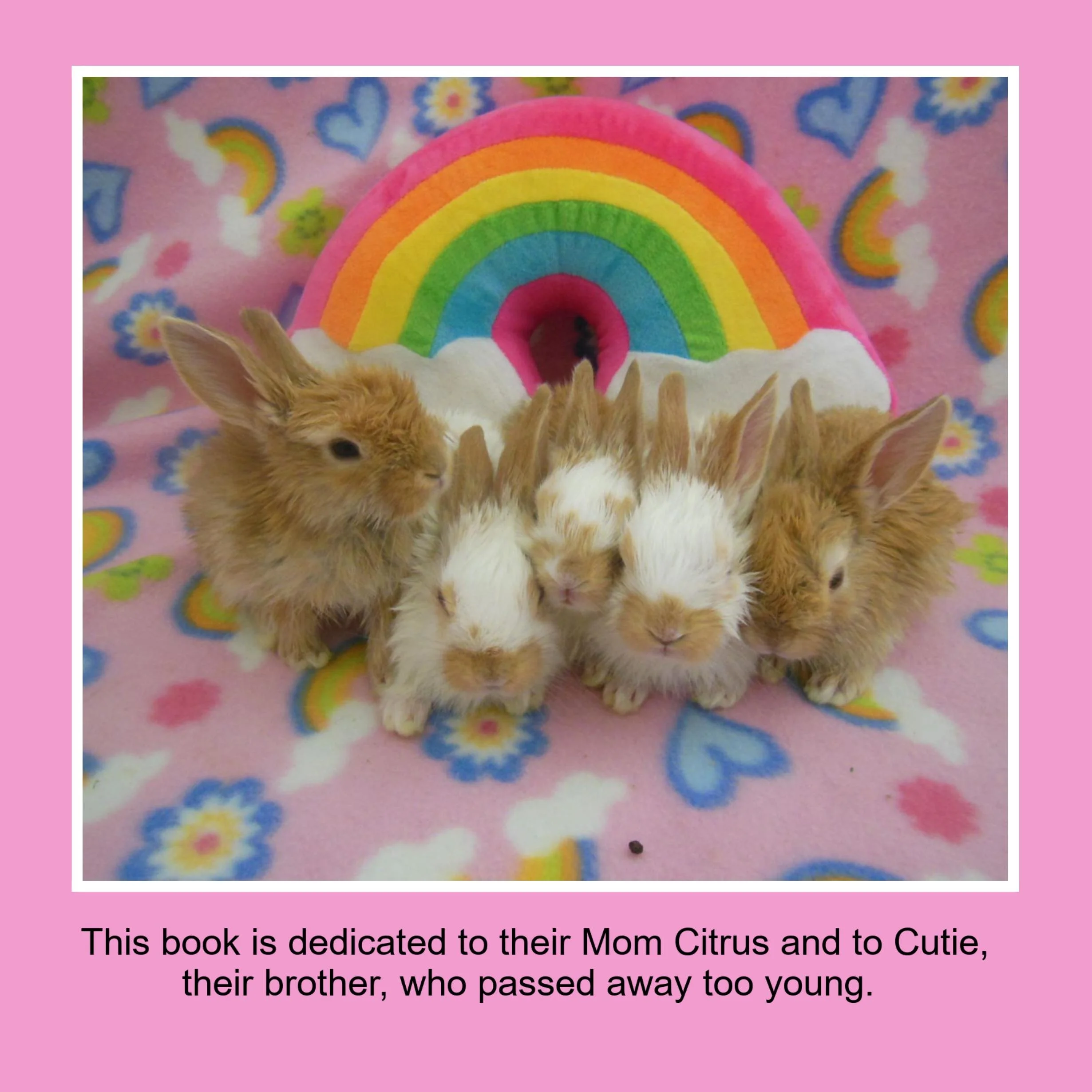 Six baby rabbits sitting on a pink fleece blanket with colorful rainbow and cloud designs, with a rainbow plush toy in the background.