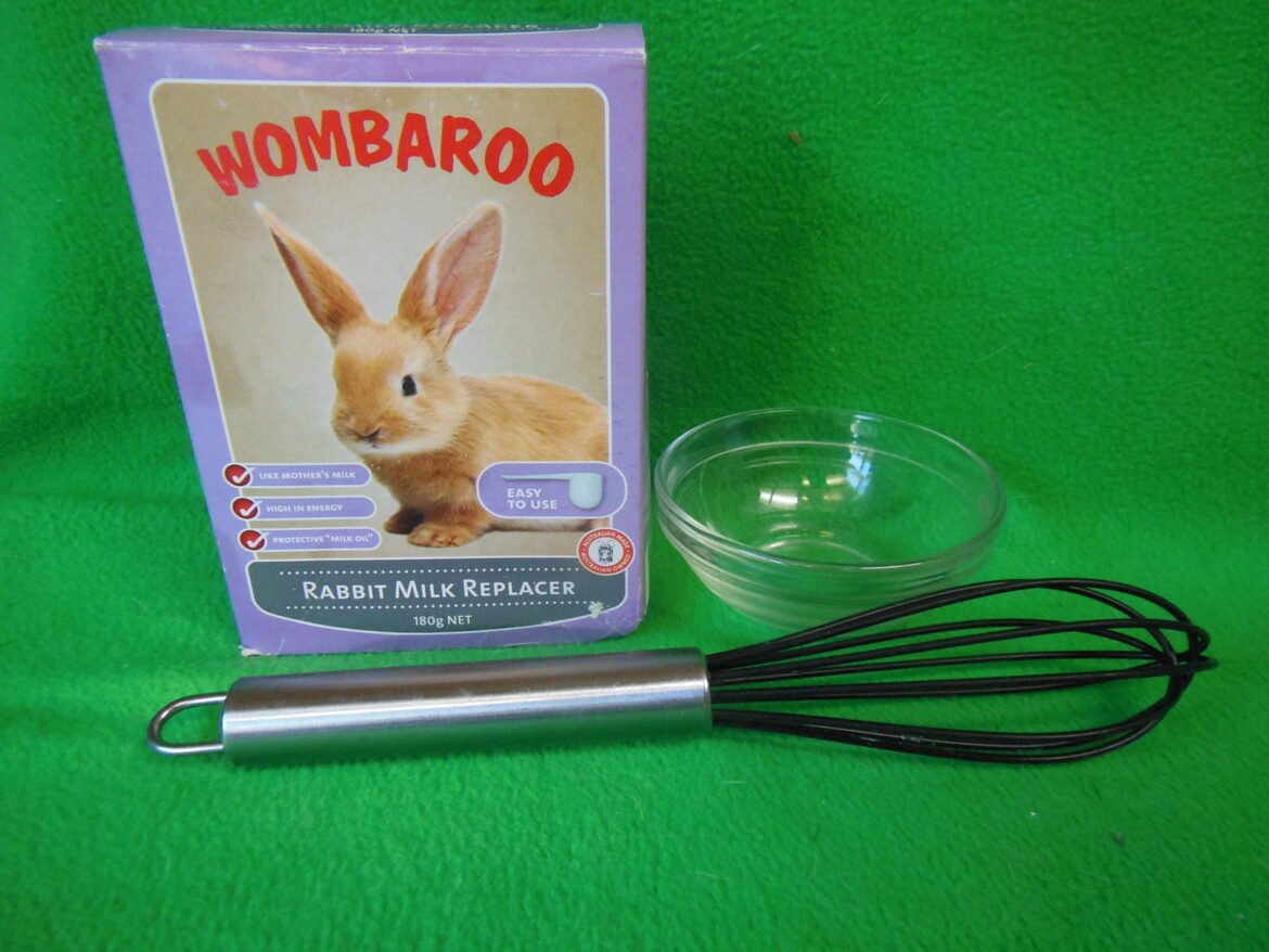 A rabbit milk replacer box, a glass bowl, and a metal hand whisk on a green surface.