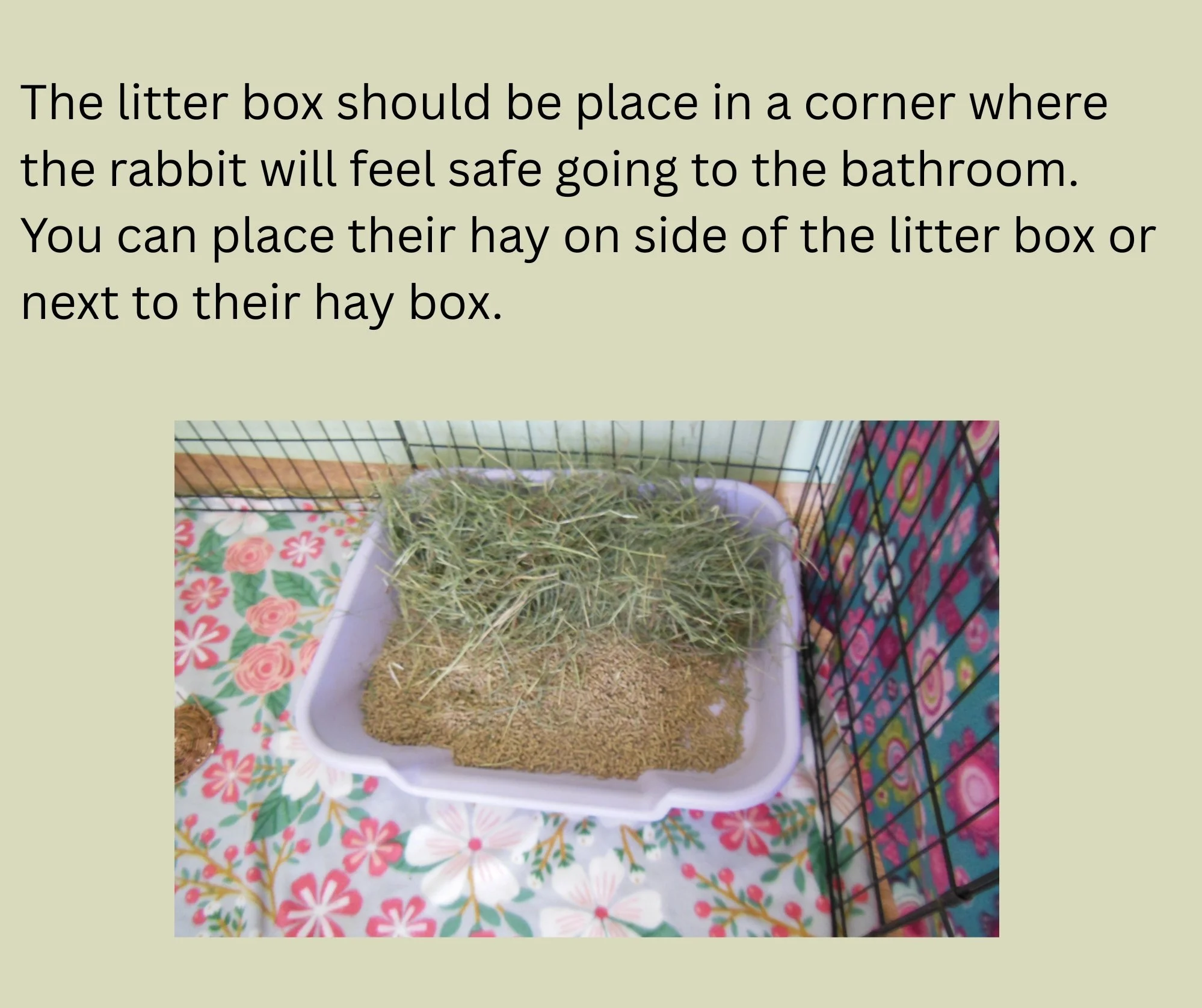 A rabbit cage with a litter box containing hay and bedding, placed on a floral-patterned surface for the rabbit's safety and comfort.