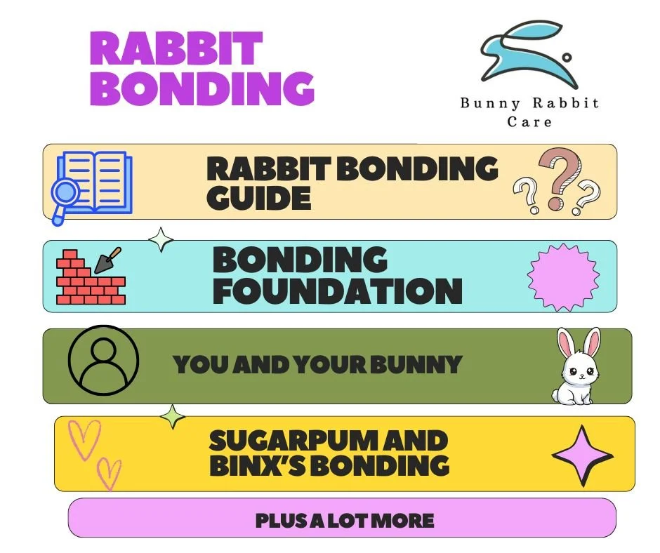 Illustrated guide titled 'Rabbit Bonding Guide' with sections on bonding foundation, you and your bunny, Sugarpum and Binx's bonding, and more, featuring bunny graphics and colorful icons.