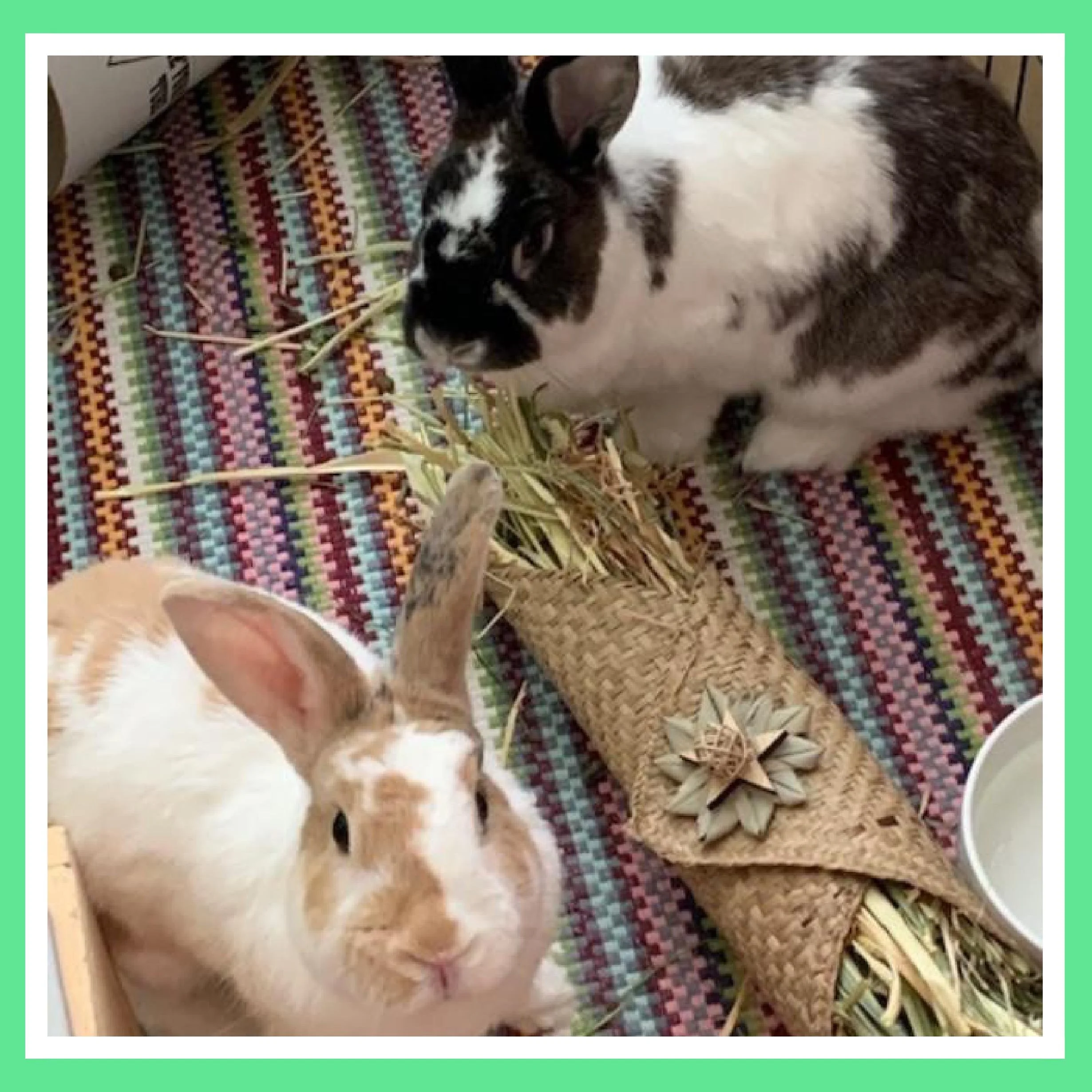 A rabbit and a cat sitting on a colorful woven mat next to a straw cone filled with hay.