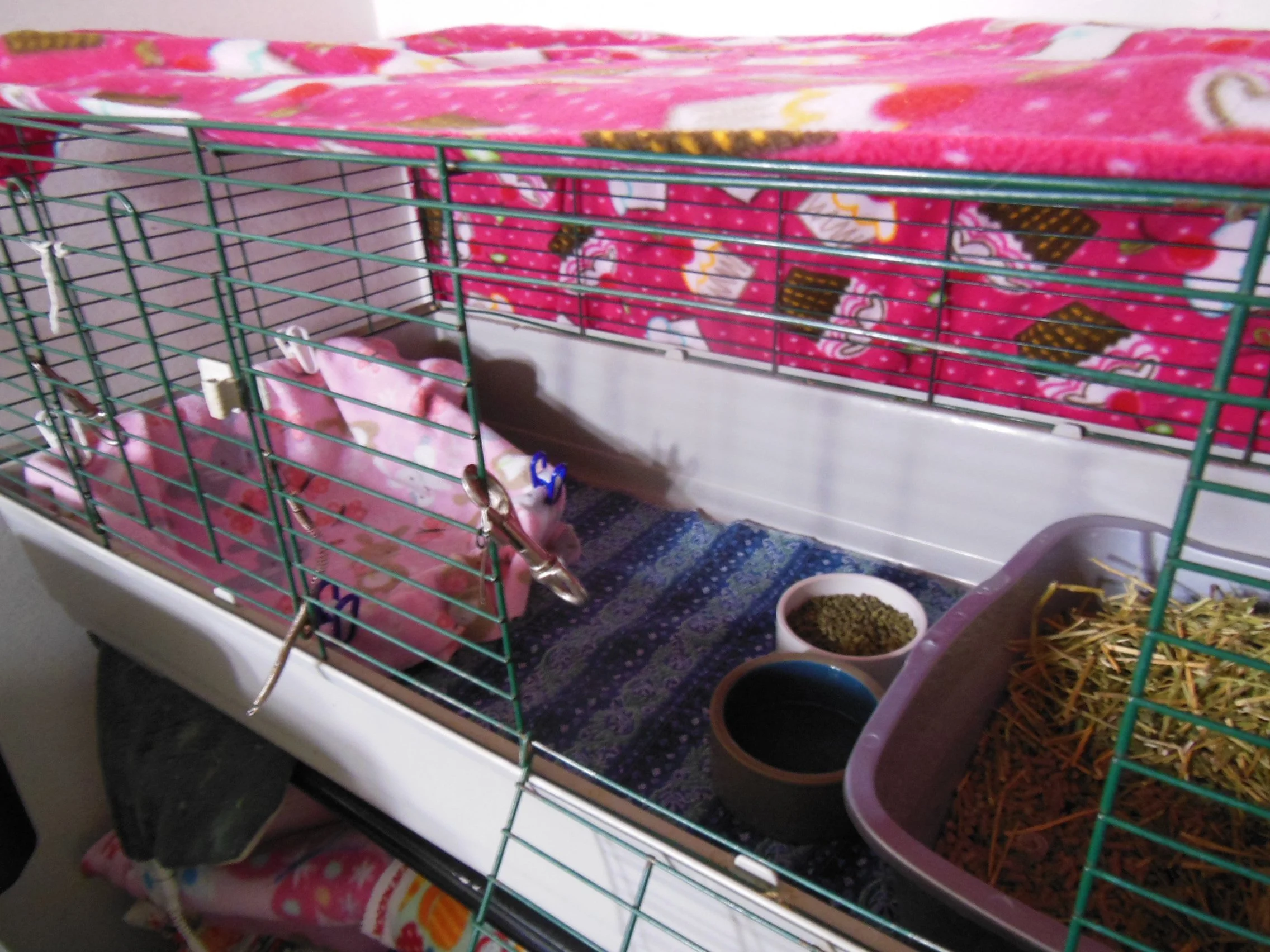 A small animal cage with pink fleece bedding, bowls of food and water, and hay.