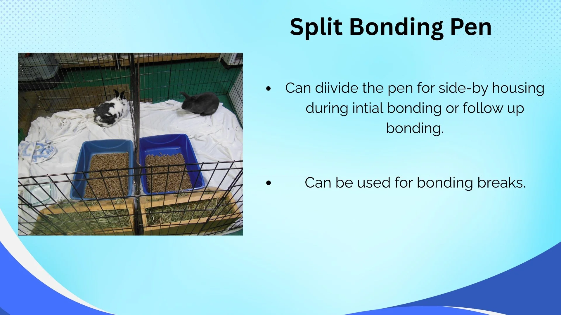 A pet cage with two rabbits and two blue litter boxes filled with hay and pellets. The cage has a white cloth on the bottom.