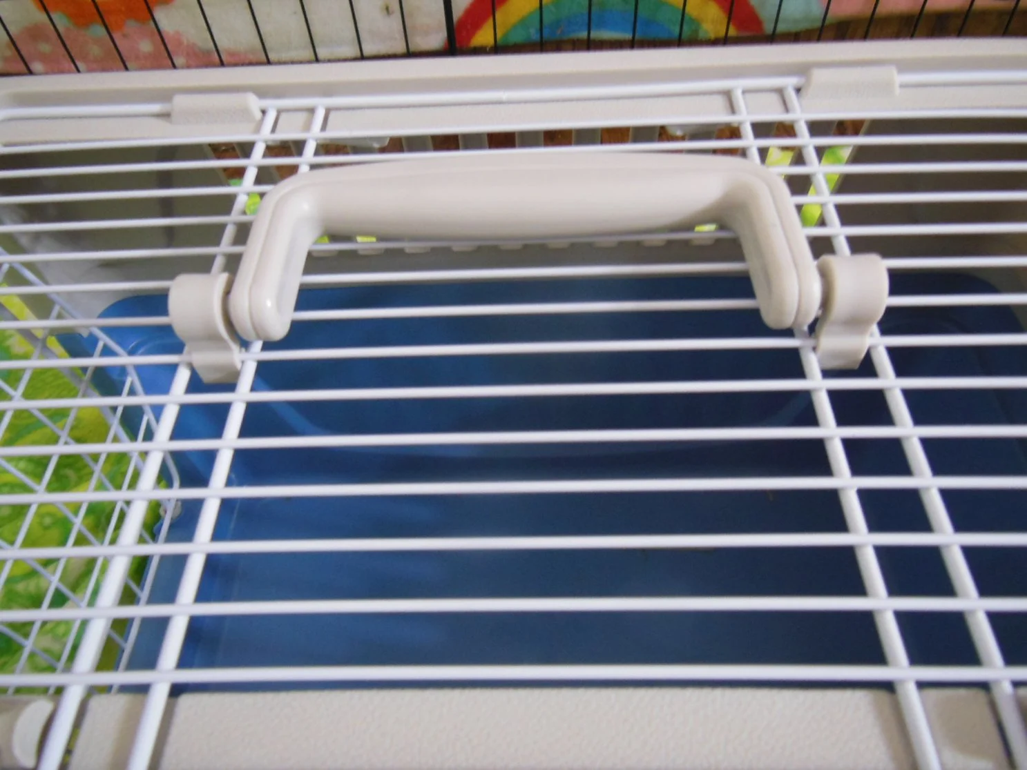 Close-up of a white wire animal cage with a plastic handle on the front, with a blue plastic tray underneath, and a colorful rainbow-themed background.