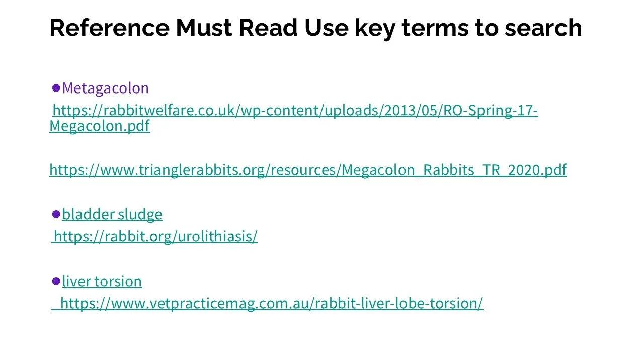 A document titled 'Reference Must Read Use key terms to search' listing links and terms related to rabbit health and anatomy, including 'Metagacolon,' 'bladder sludge,' and 'liver torsion.'
